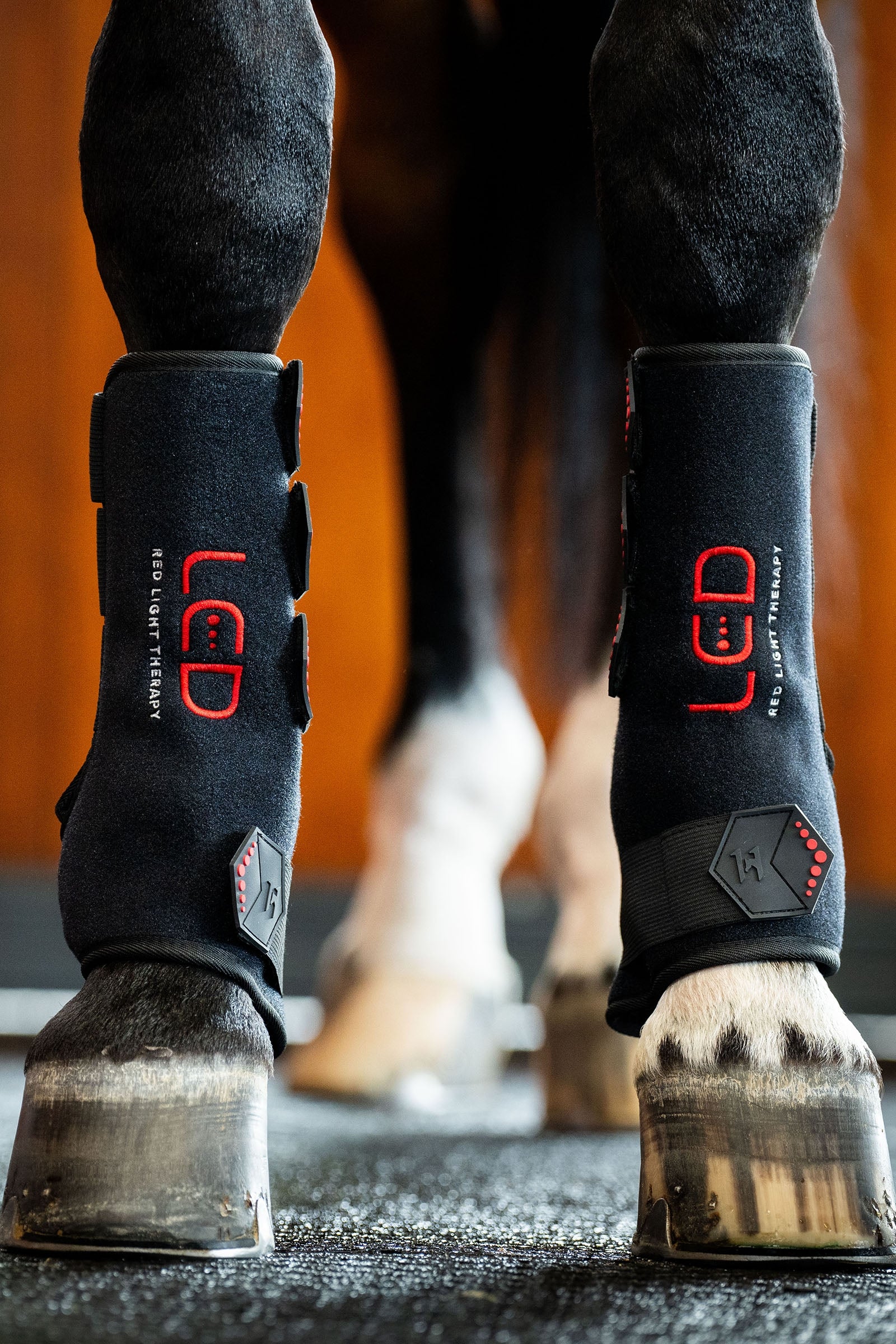 Horseware LED Red Light Therapy Leg Wrap (1 pc.) Leg & Hoof Protection