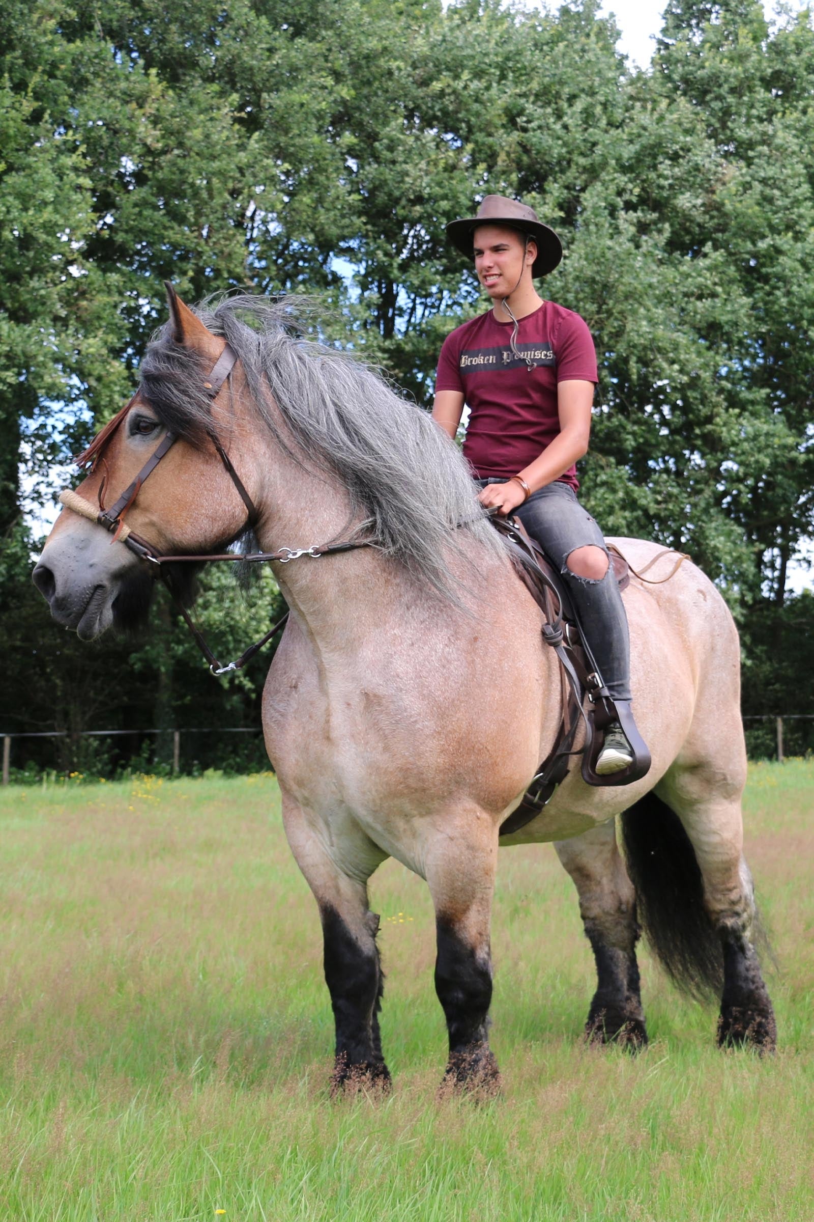 F.R.A. Freedom Riding Articles Tinver Bitless Bridle With Reins (System 4), Shire Bridles & Reins