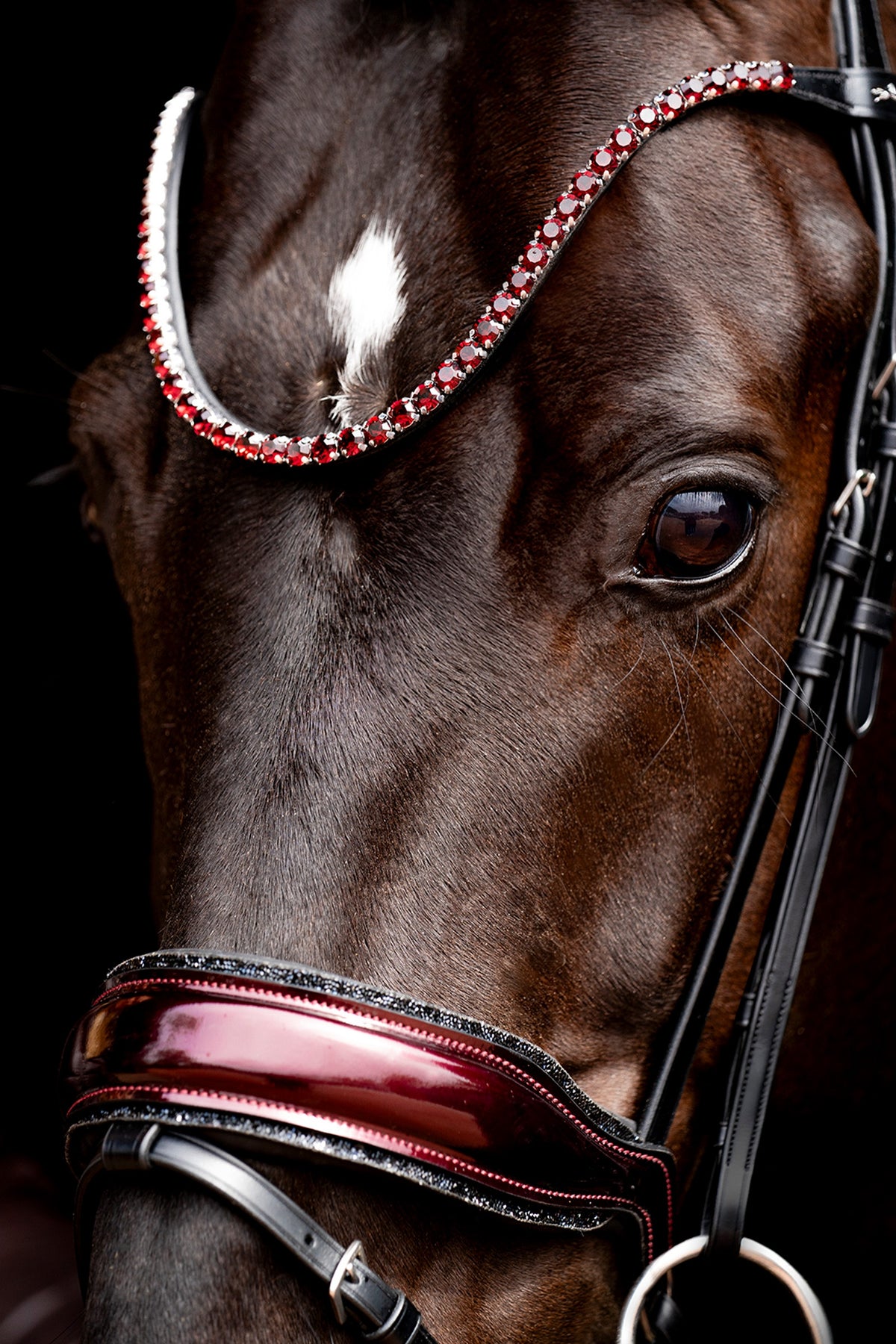 Schockemöhle Sports Schockemöhle SP Luxury Dressage Bridle Bridles & Reins