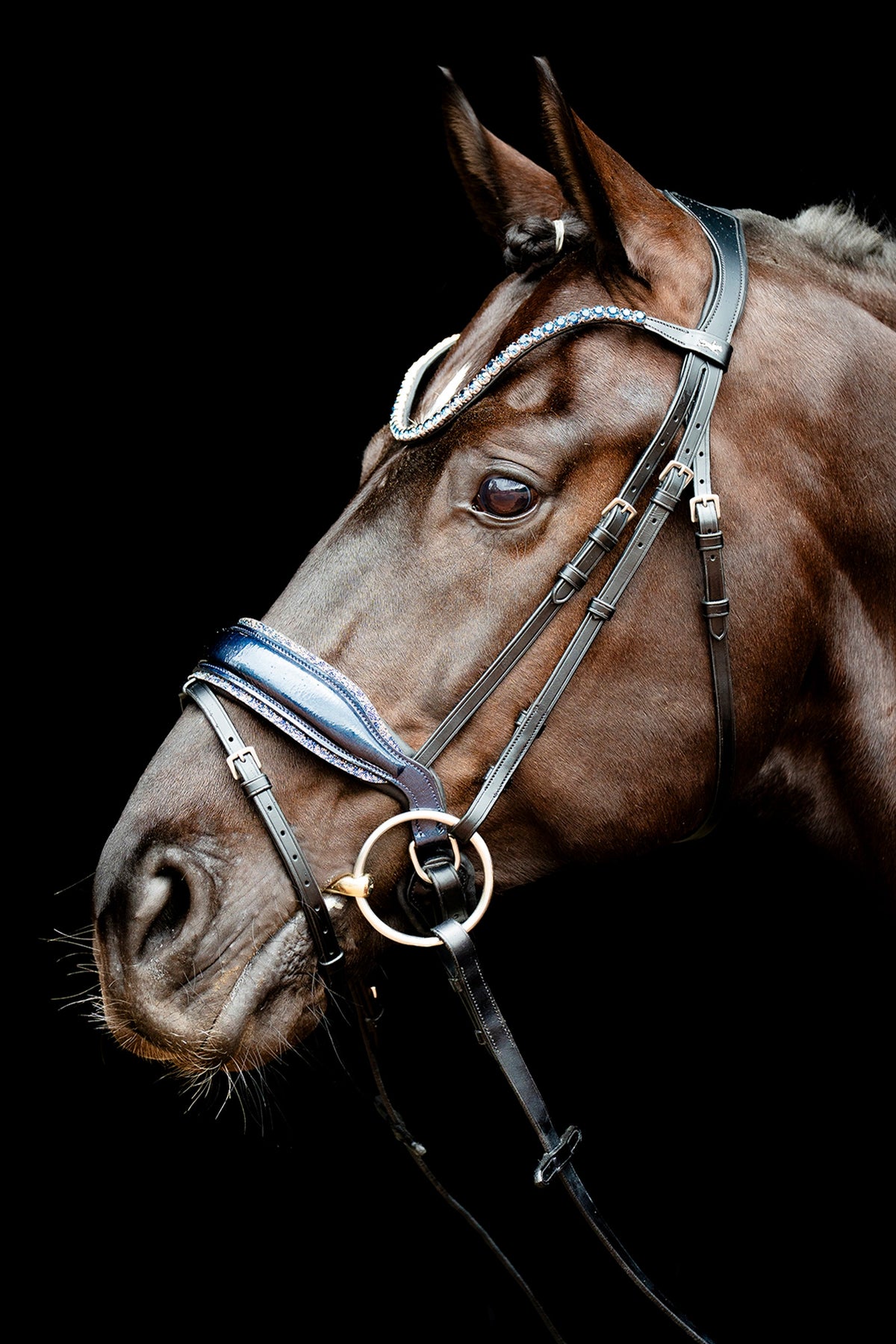 Schockemöhle Sports Schockemöhle SP Luxury Dressage Bridle Bridles & Reins