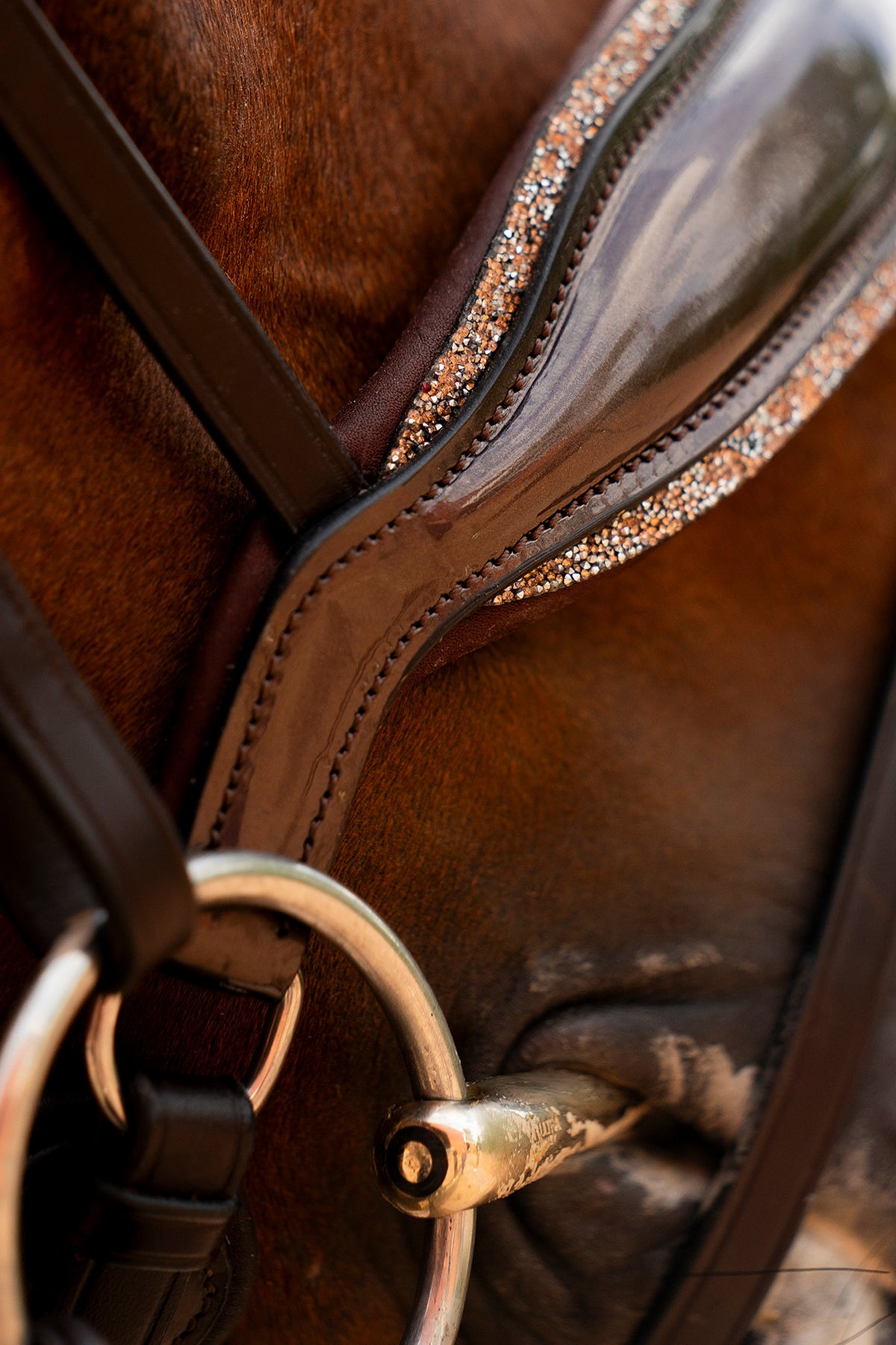 Schockemöhle Sports Schockemöhle SP Luxury Dressage Bridle Bridles & Reins