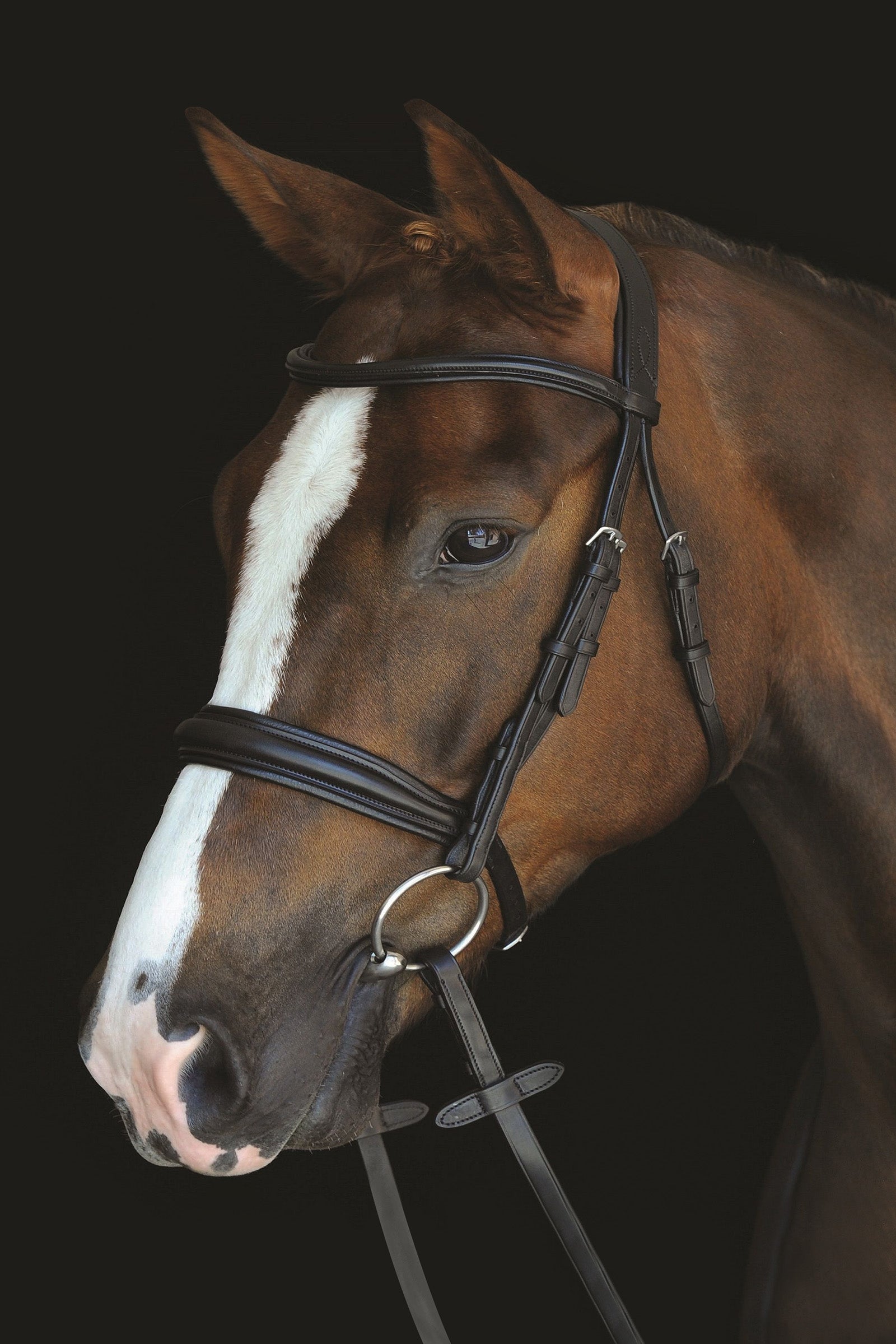 Collegiate Mono Crown Padded Raised Cavesson Bridle Bridles & Reins