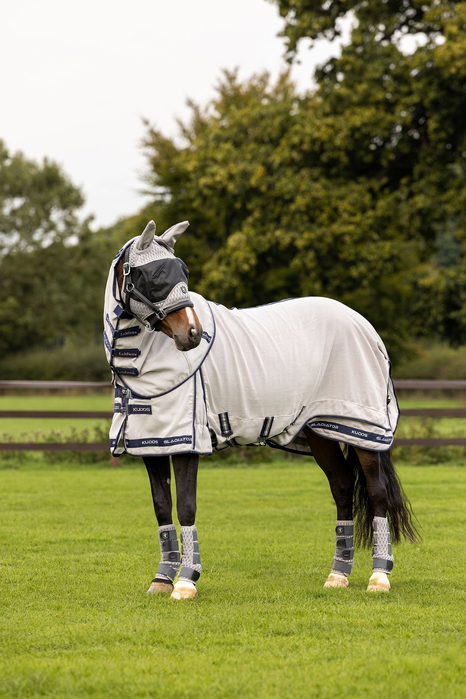 LeMieux Kudos Gladiator Fliegendecke Pferdedecken