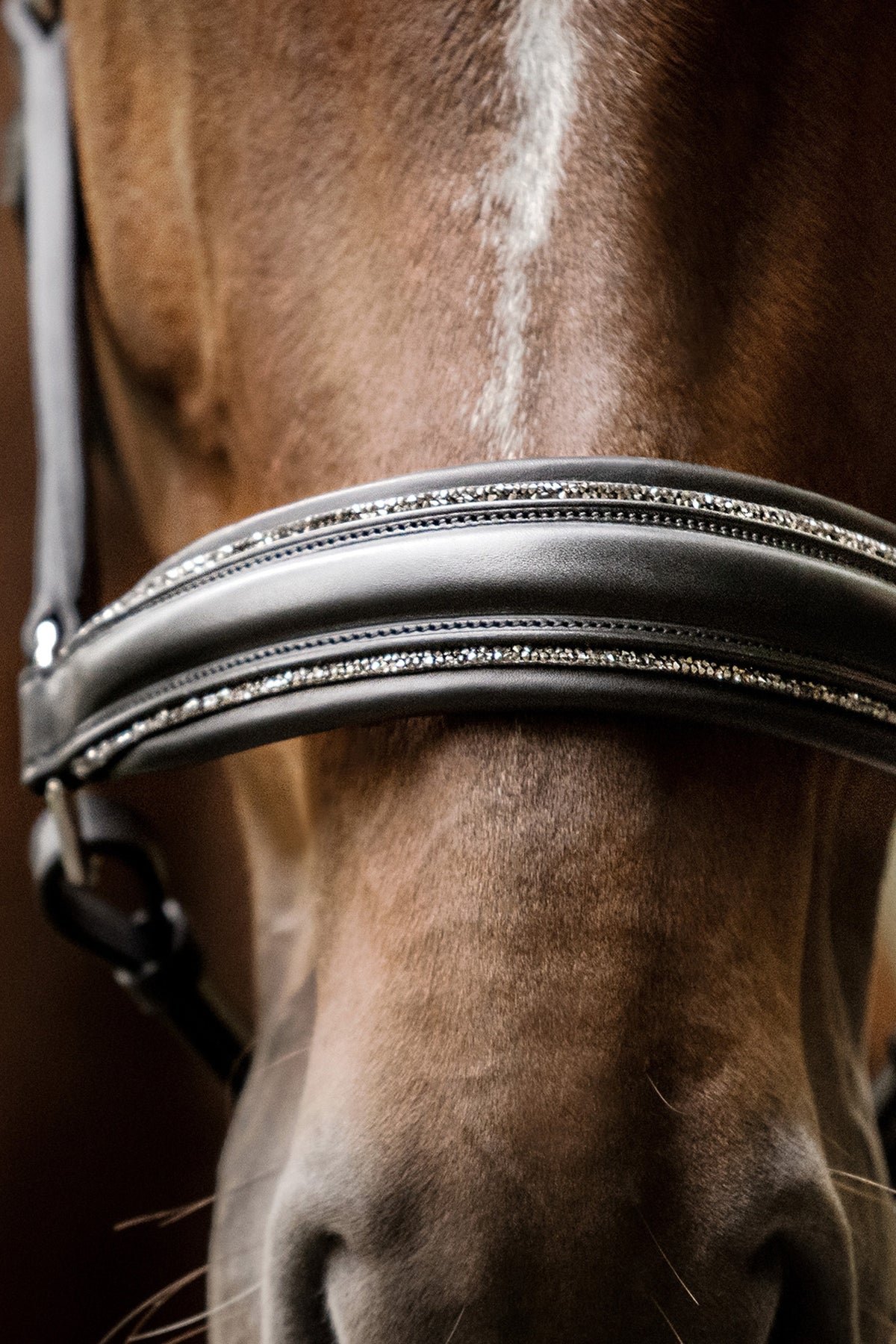 Waldhausen Glamour S-Line Leather Halter Halters & Leads