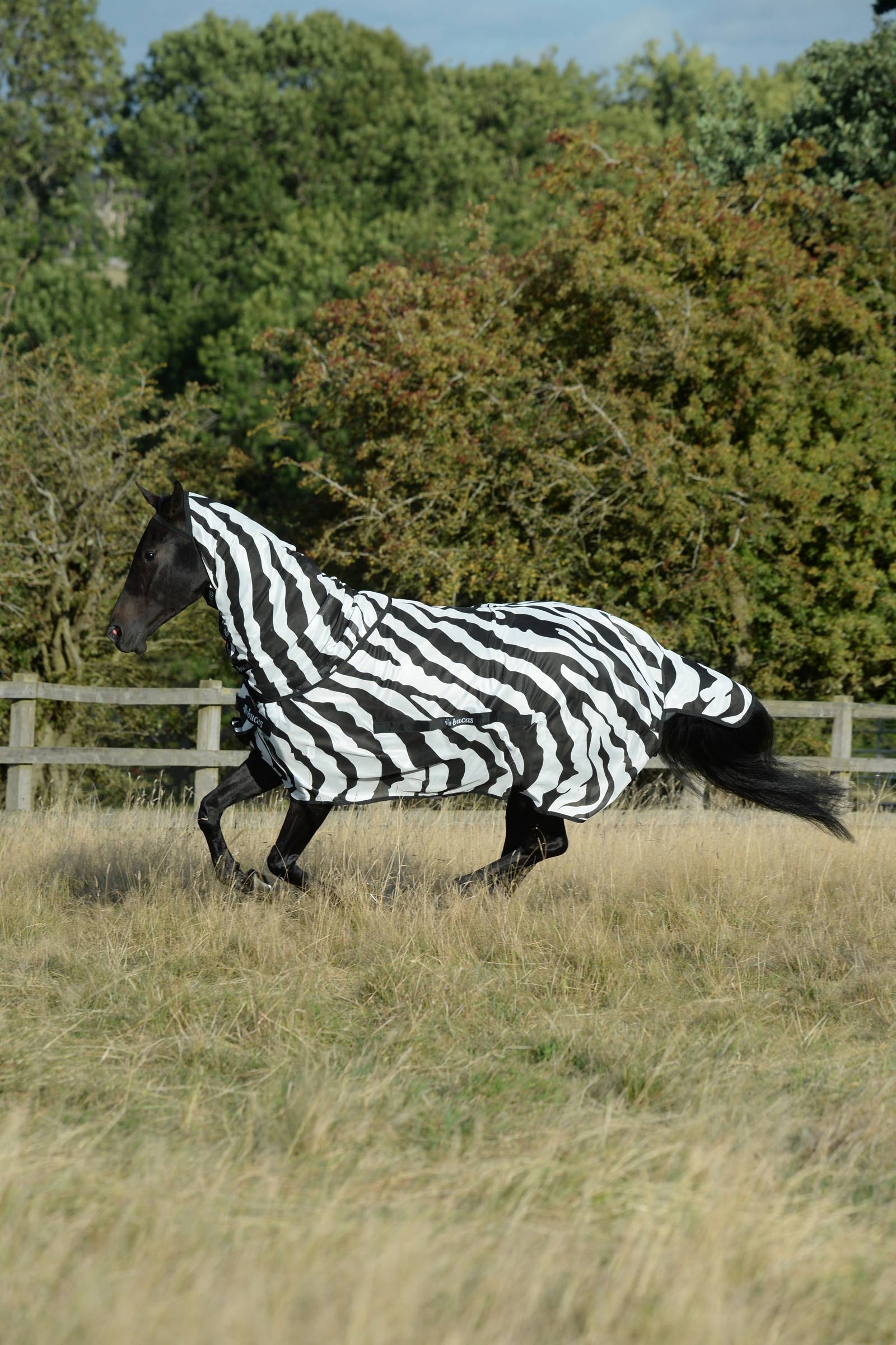 Bucas Buzz-Off Zebra Fliegendecke mit festem Halsteil Pferdedecken