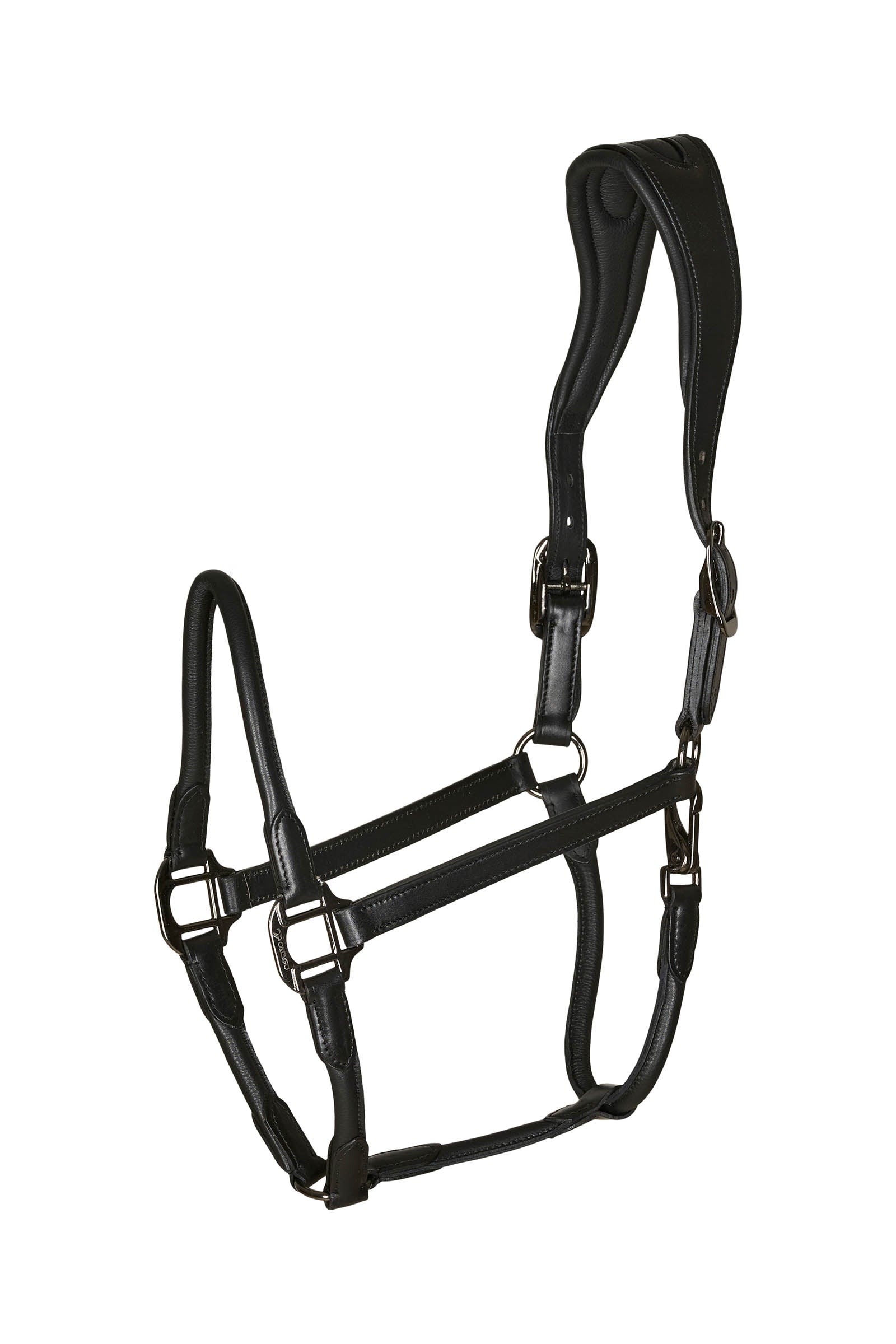 Catago Lederhalfter mit rundgenähtem Nasenband Halfter & Stricke