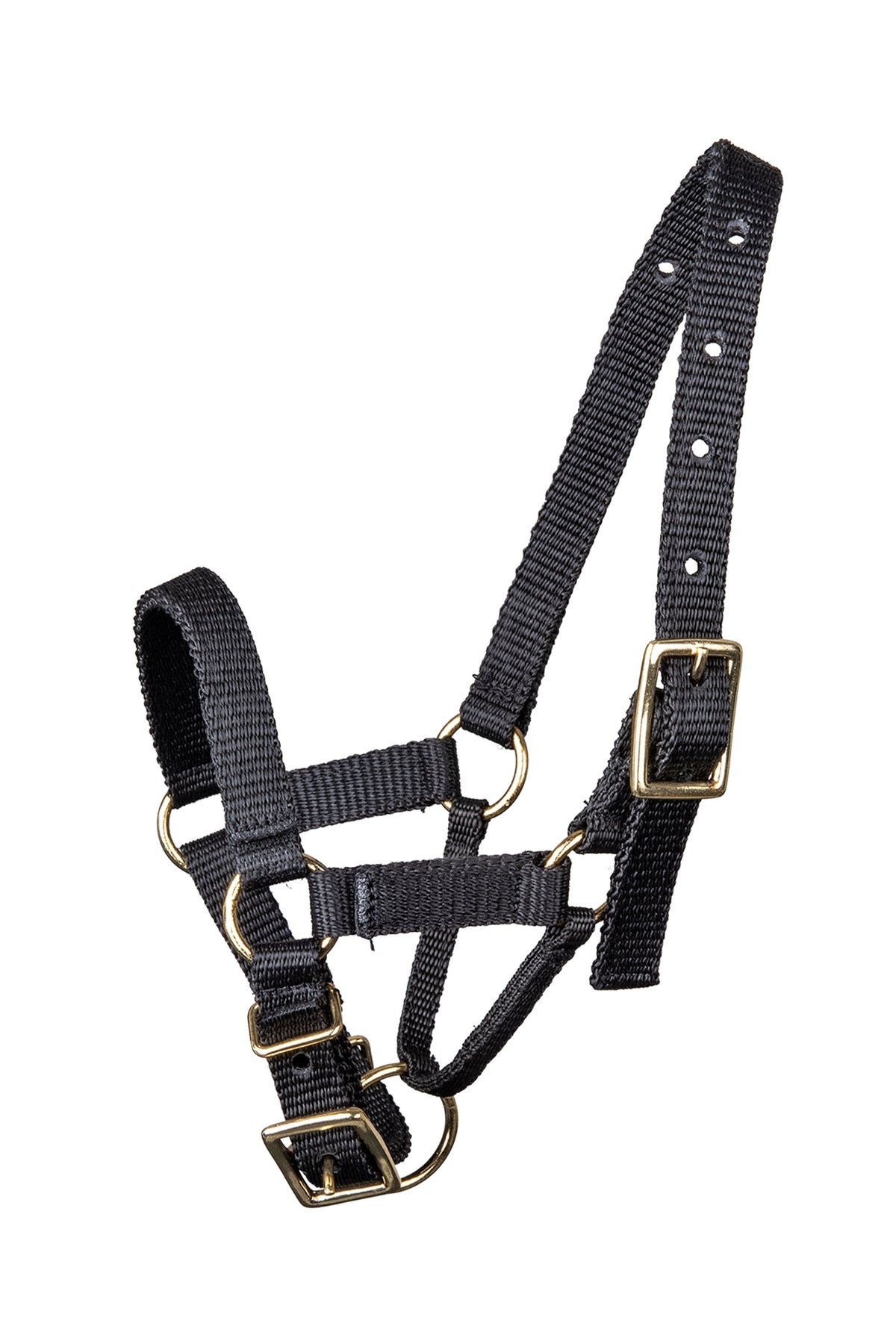 Waldhausen Alpaca Halter Halters & Leads