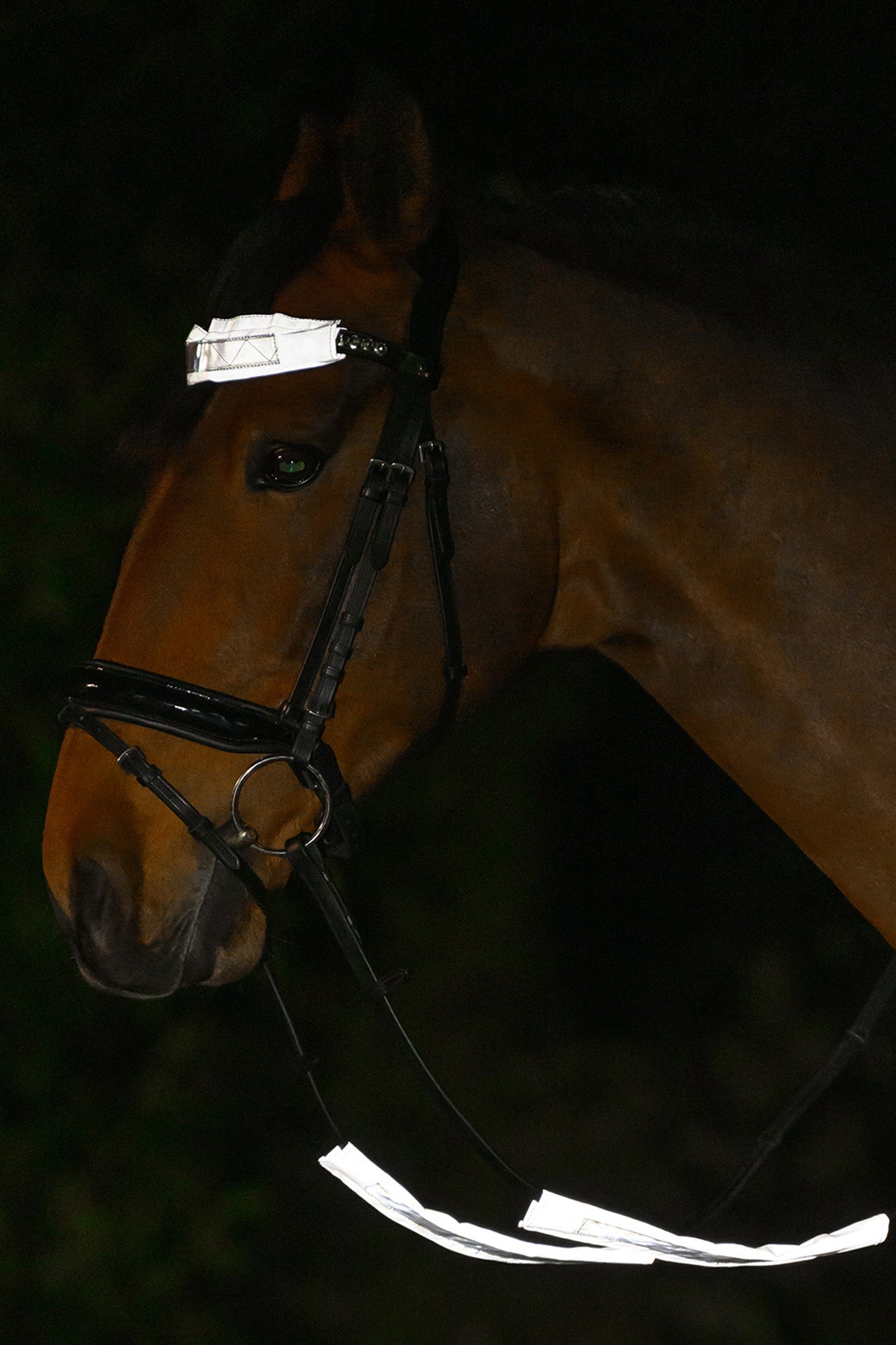 Waldhausen REFLEX Snaffle Bridle Set Reflective