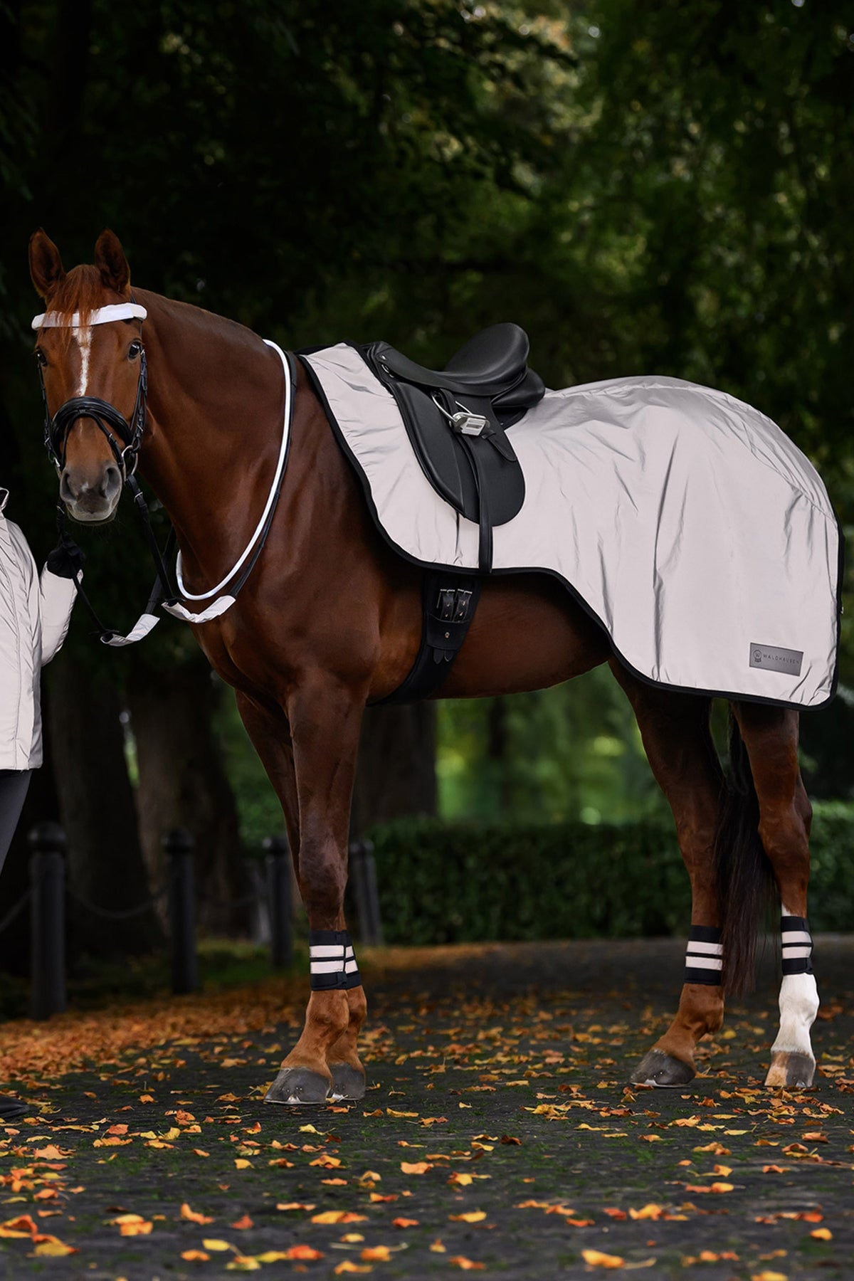 Waldhausen REFLEX Snaffle Bridle Set Reflective