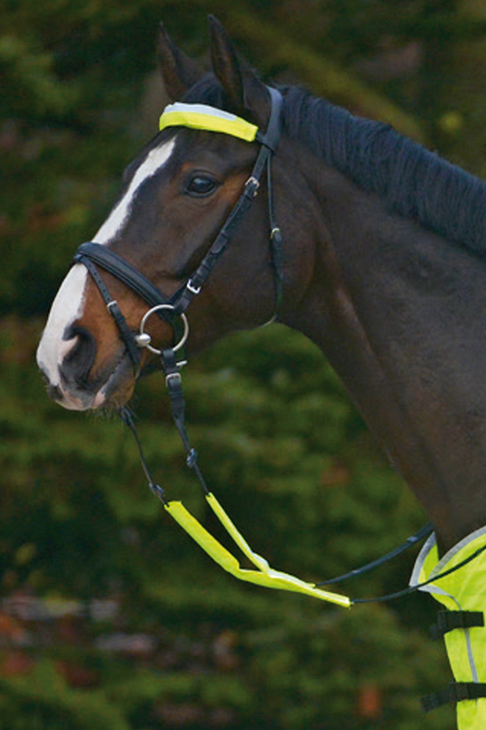 Waldhausen REFLEX Snaffle Bridle Set Reflective