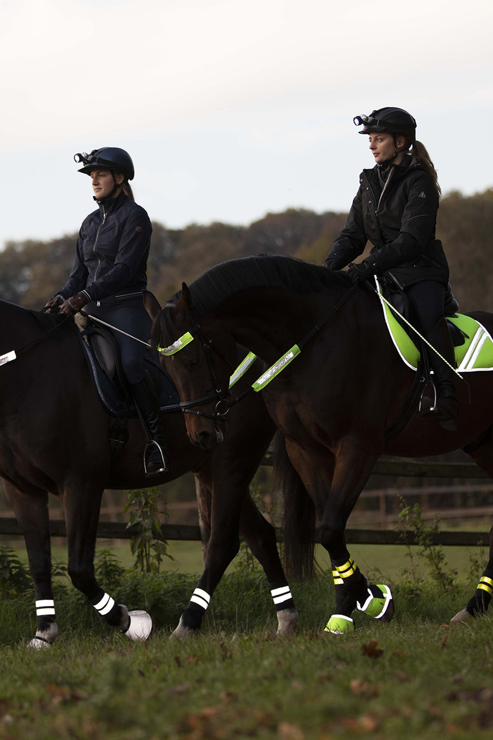 Waldhausen REFLEX Snaffle Bridle Set Reflective
