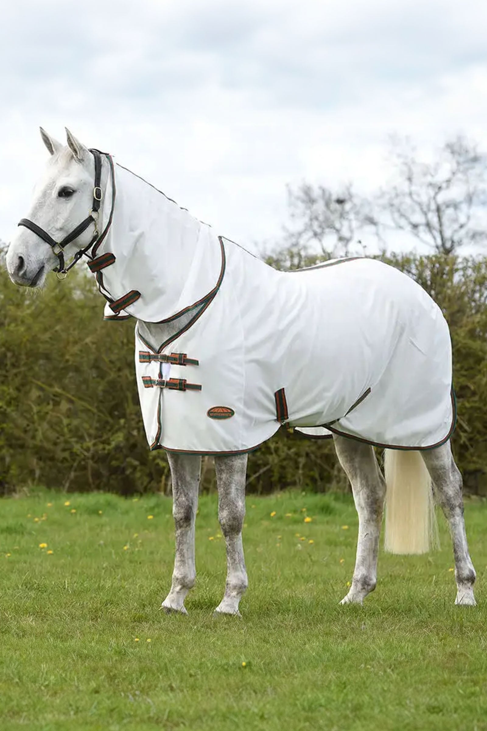 Weatherbeeta Comfitec Tyro Mesh Combo Neck Horse Rugs