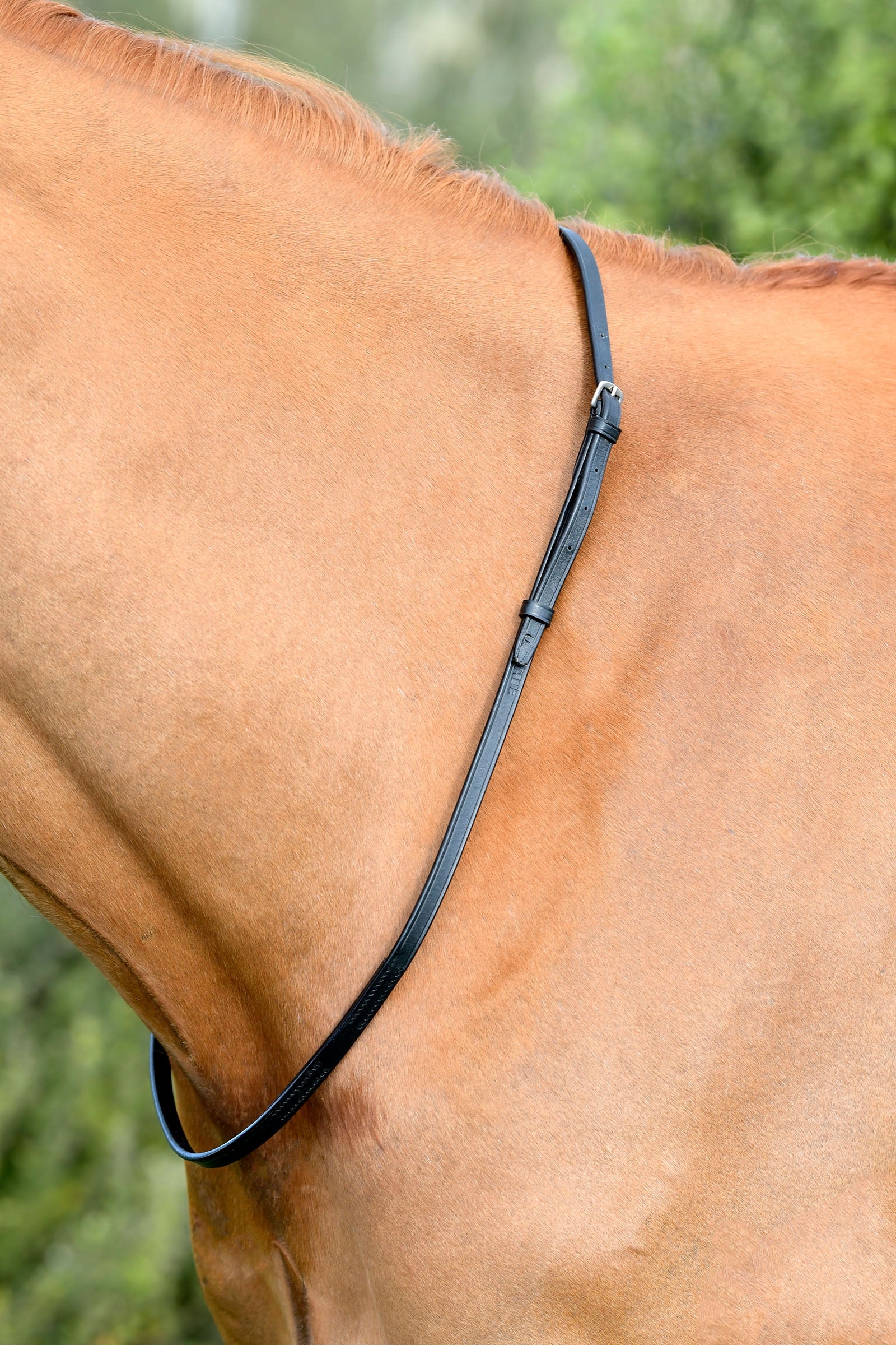 Kincade Classic Lederhalsriemen Trensenzäume & Zügel