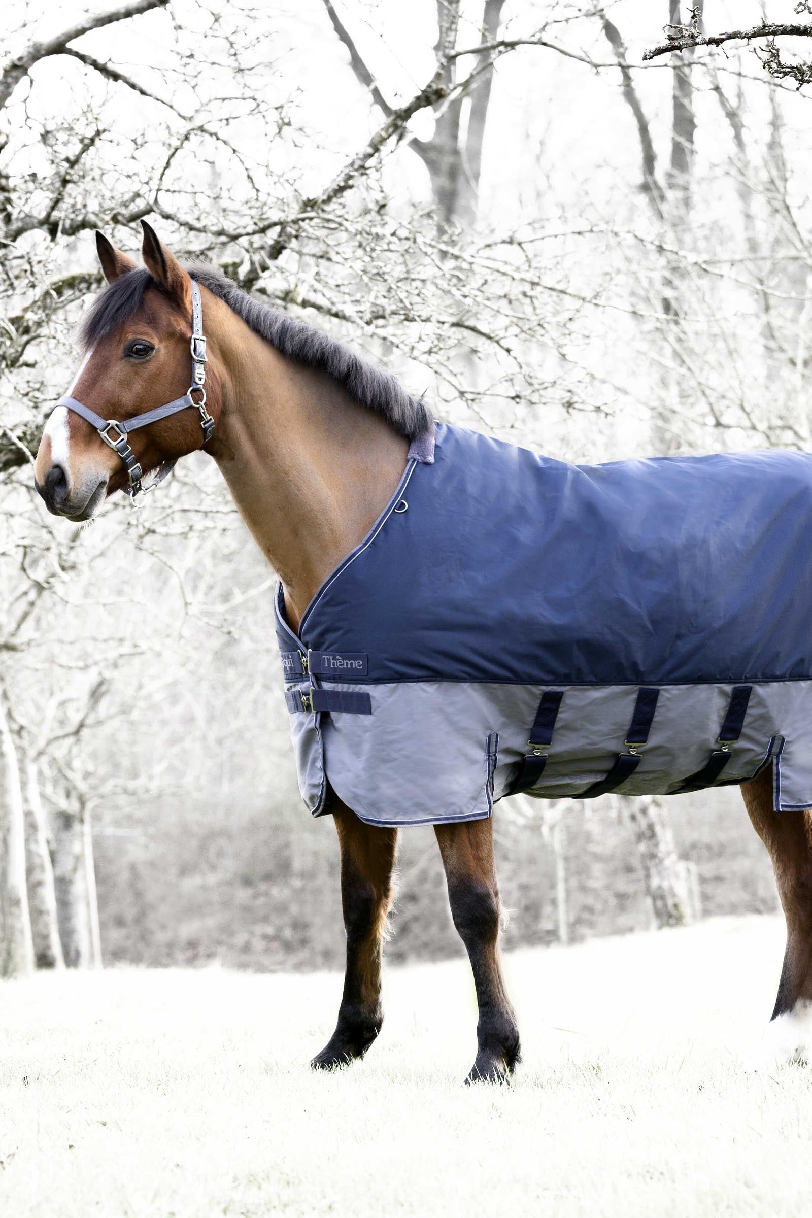 Equi Theme EQUITHÈME TYREX 600D Turnout Rug With Belly Flap, 300 g Horse Rugs