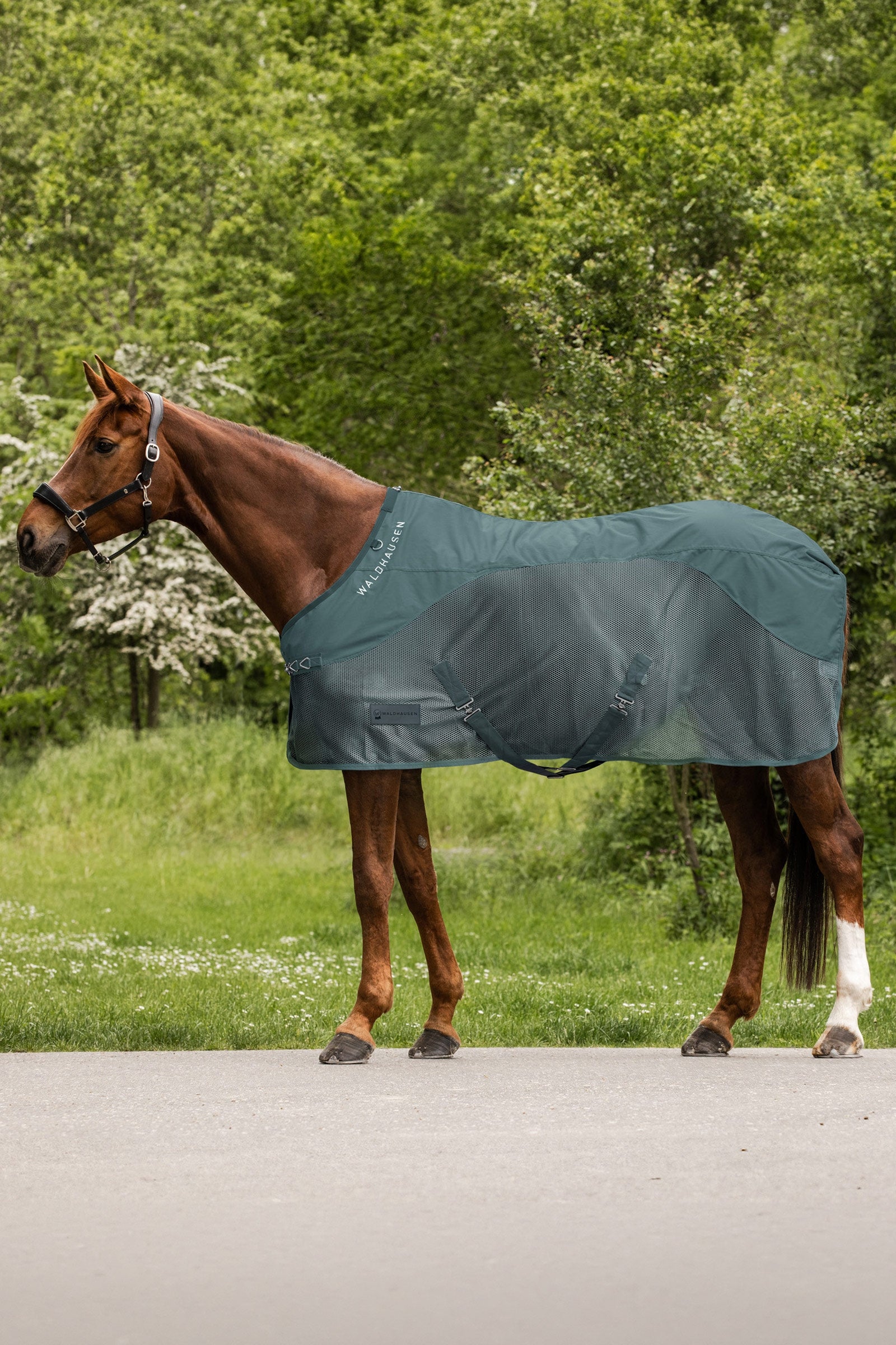 Waldhausen Comfort Rain Fly Rug Horse Rugs