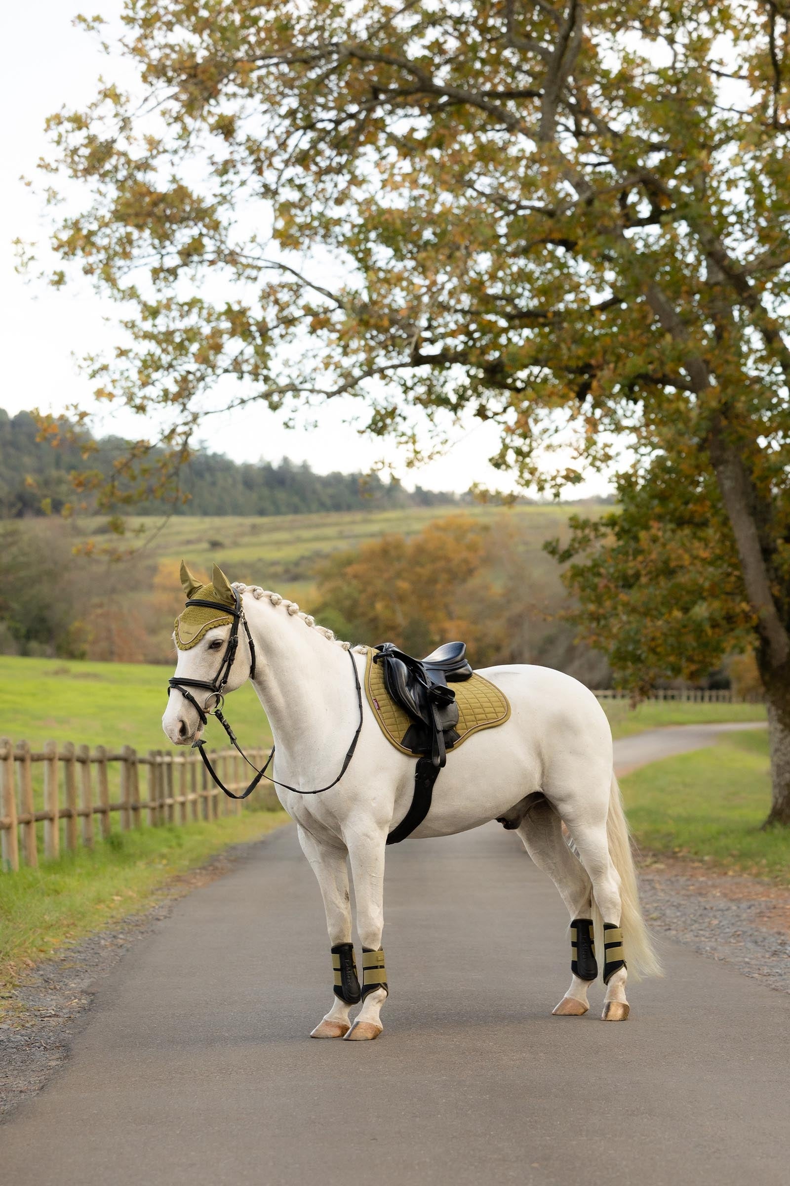 LeMieux Suede GP Square Saddle Pads