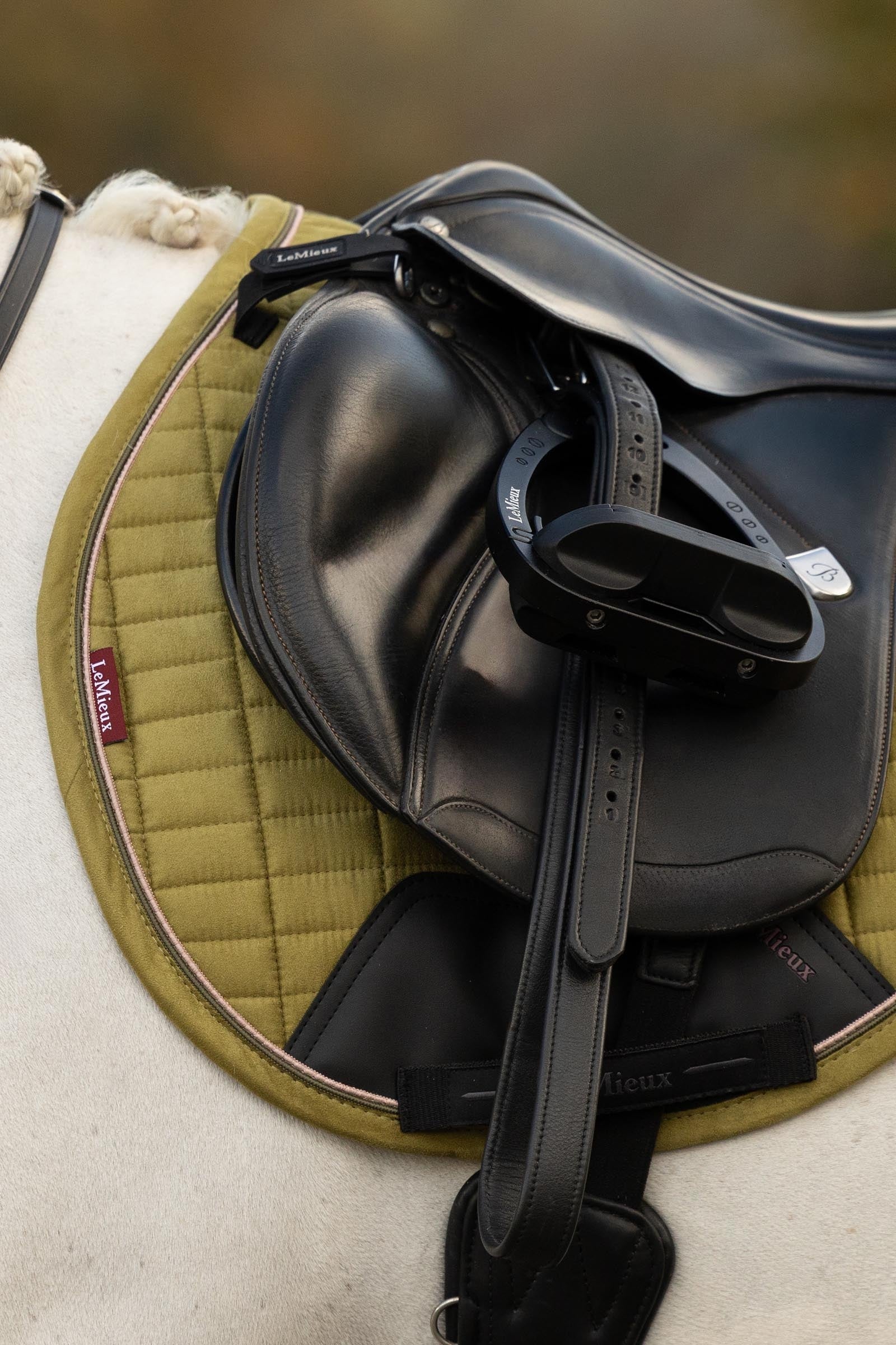 LeMieux Suede GP Square Saddle Pads