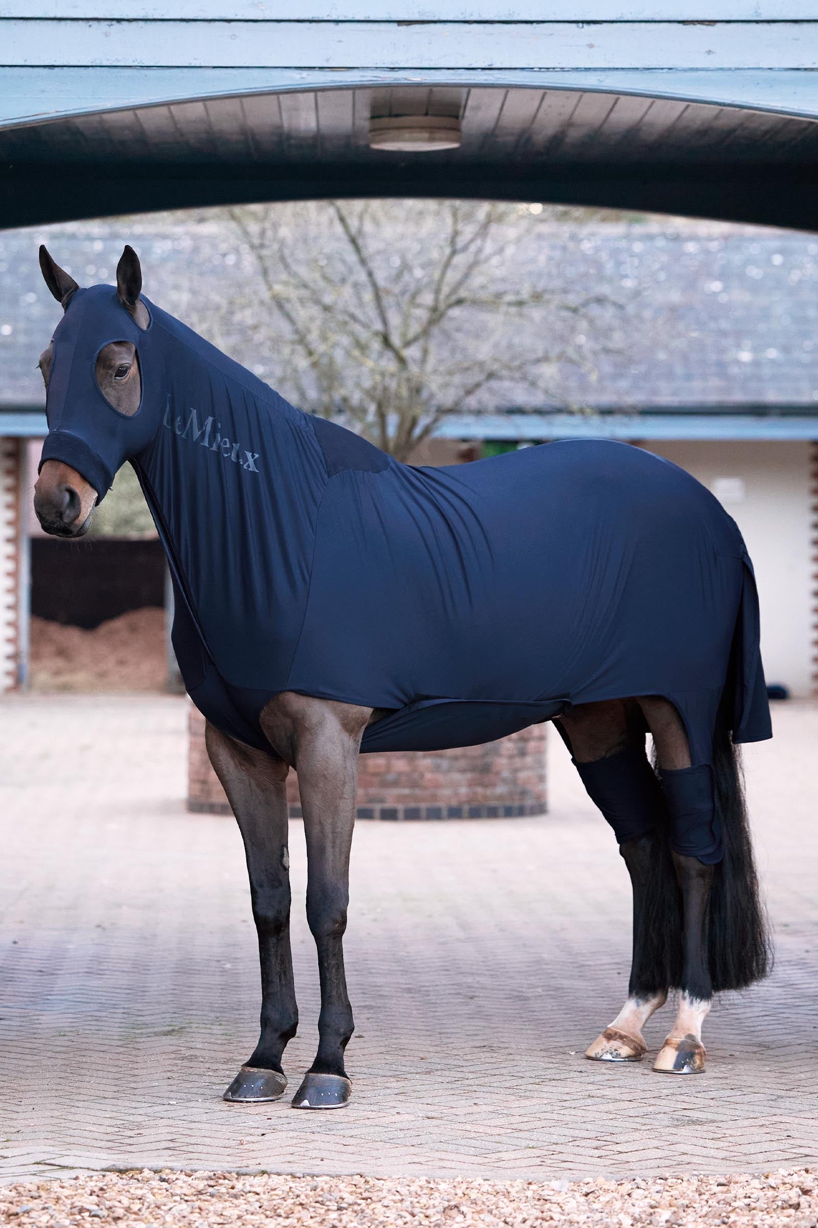 LeMieux Stretch Show Rug Horse Rugs