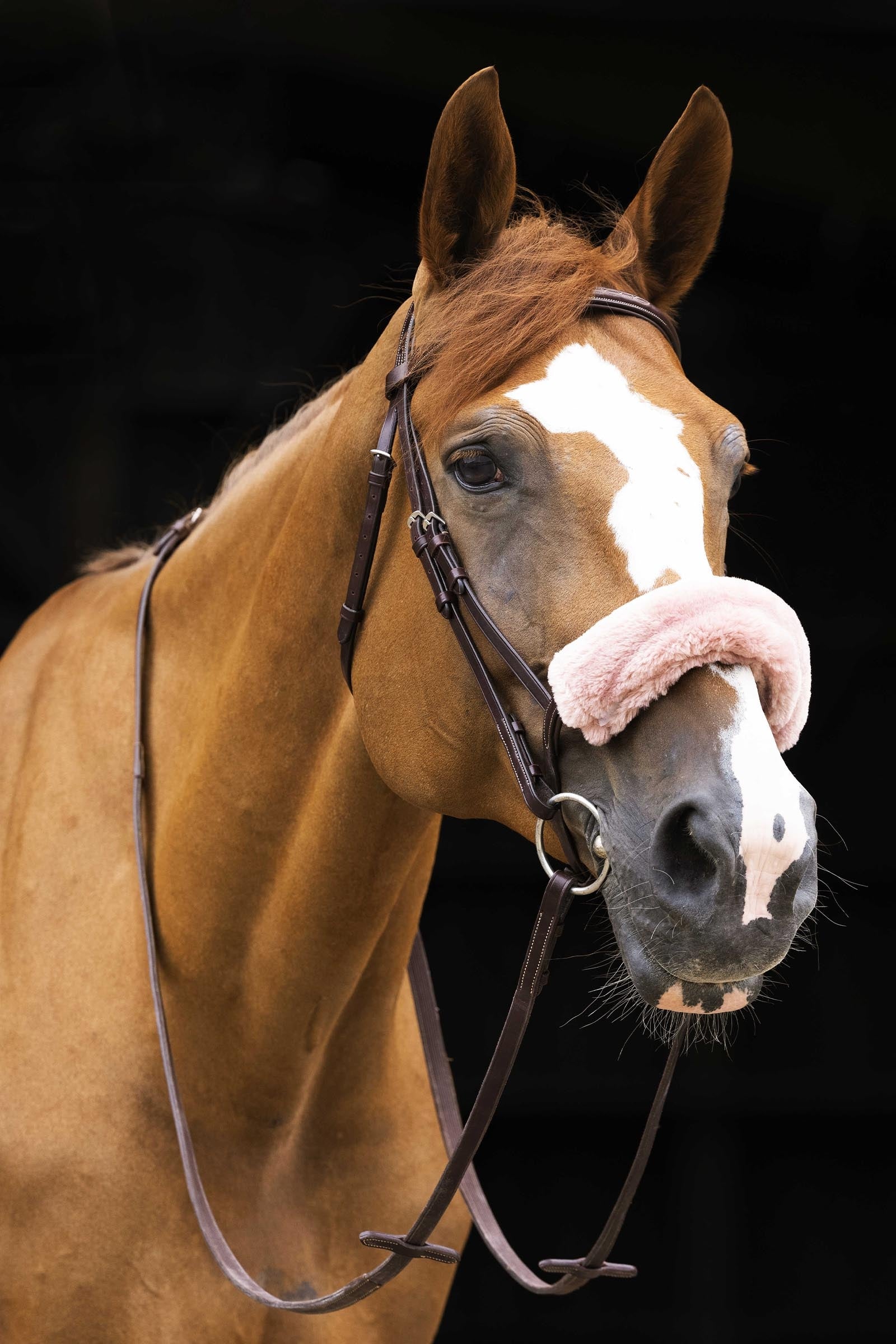 EQUITHÈME Teddy Noseband Sleeve Bridles & Reins