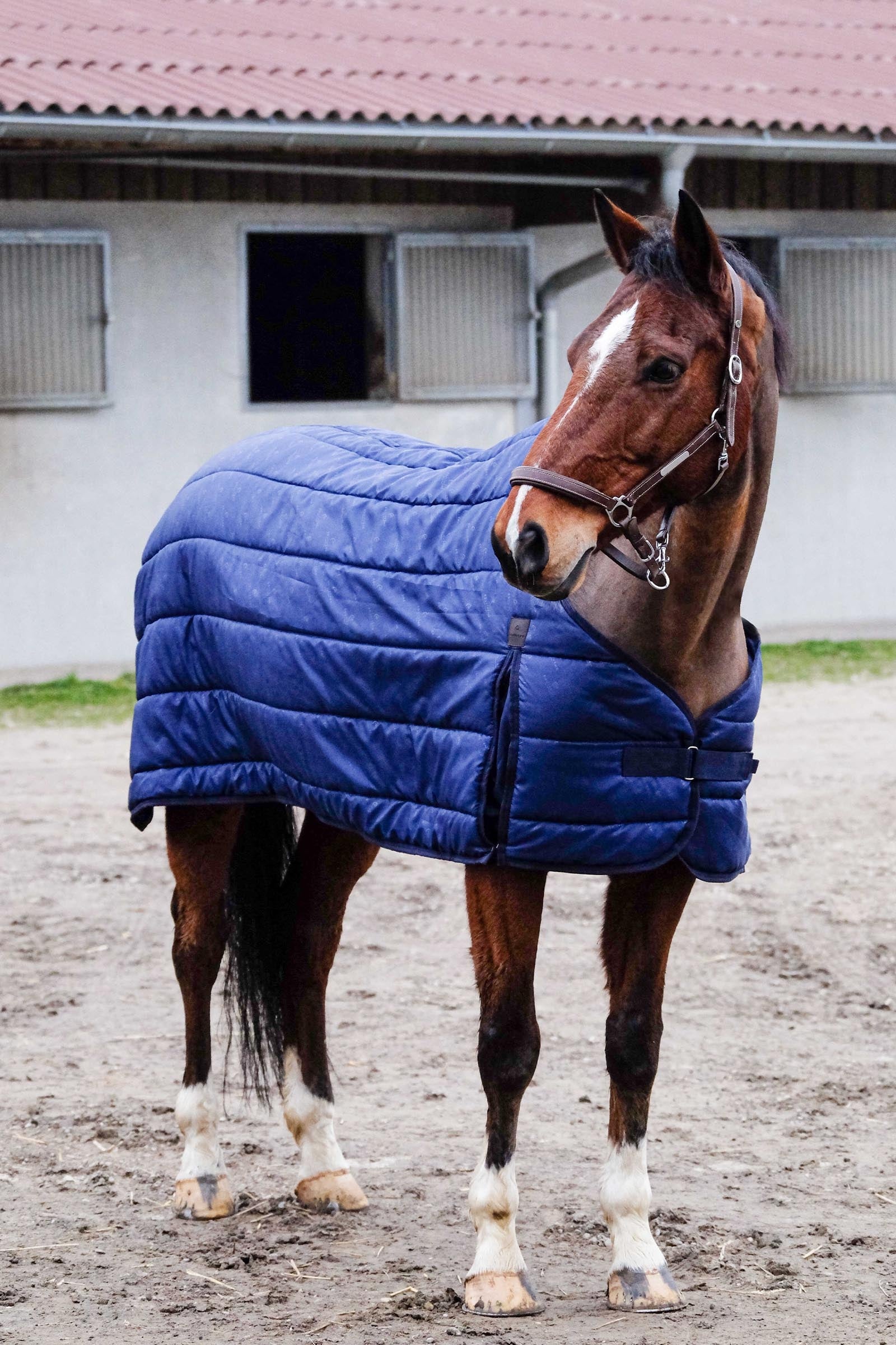 Equi Theme EQUITHÈME Classic Under Rug, 200 g Horse Rugs