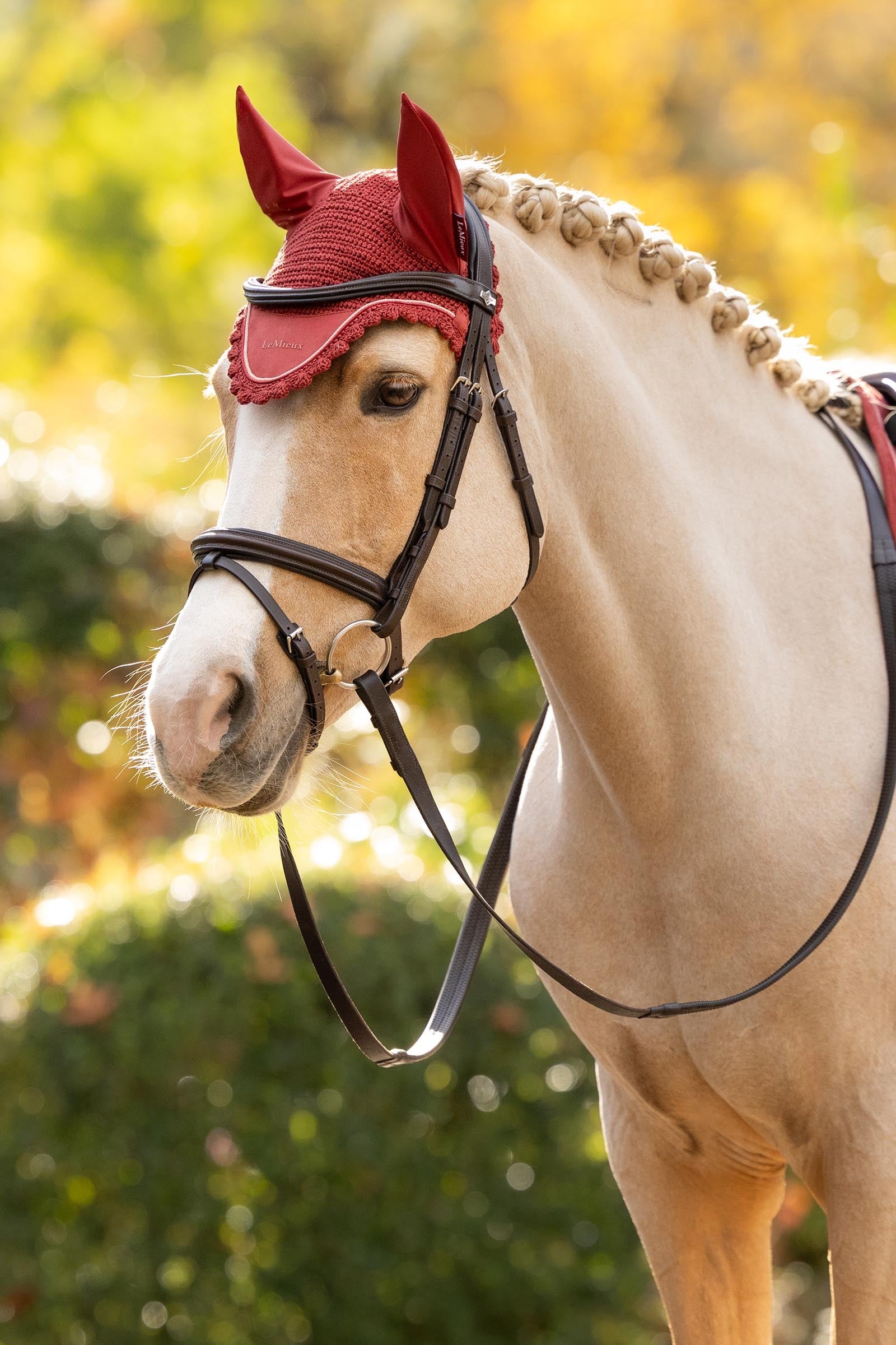 LeMieux Classic Fly Hood Saddle Pads