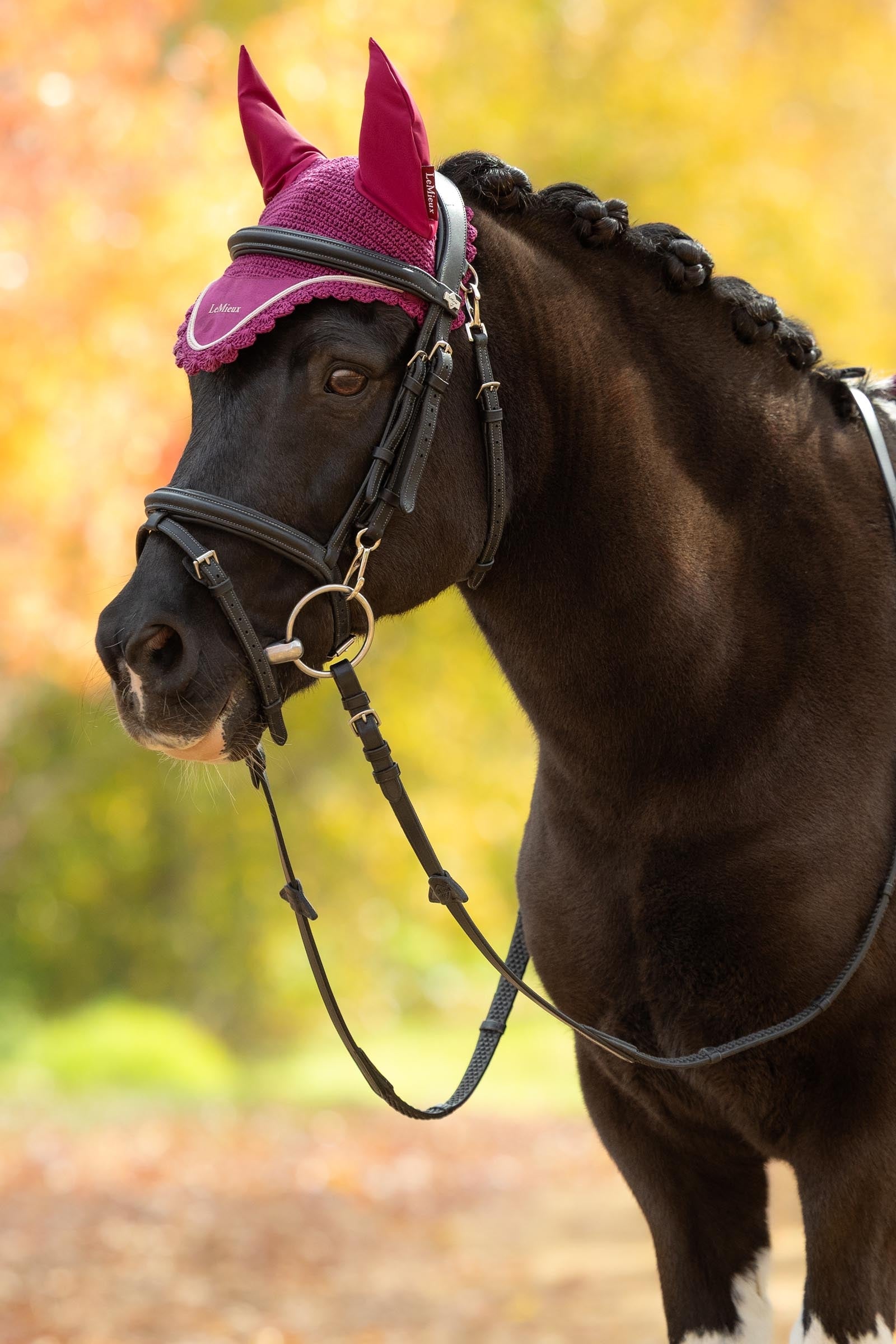 LeMieux Classic Fly Hood Saddle Pads