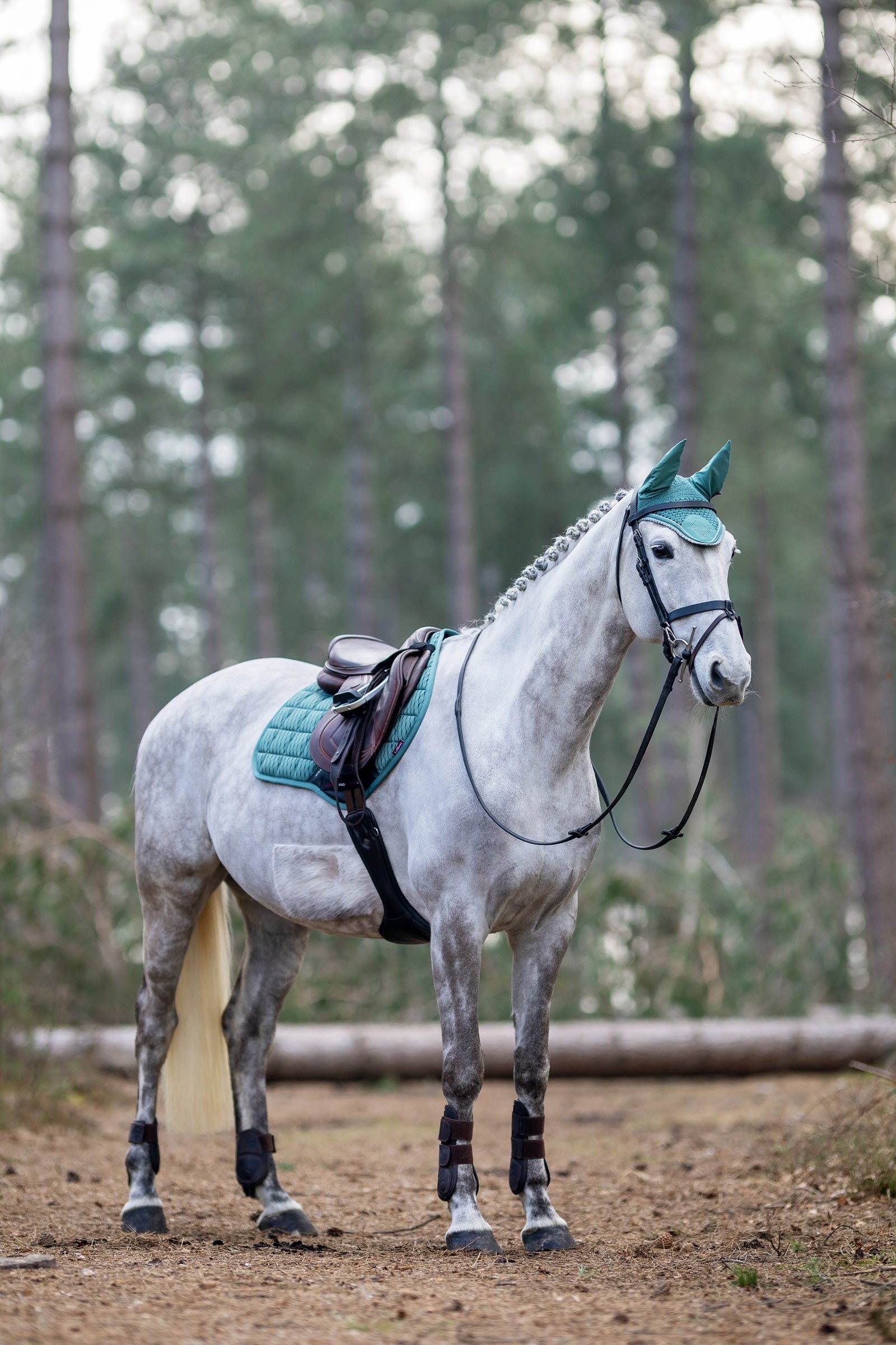 LeMieux Classic Fly Hood Saddle Pads