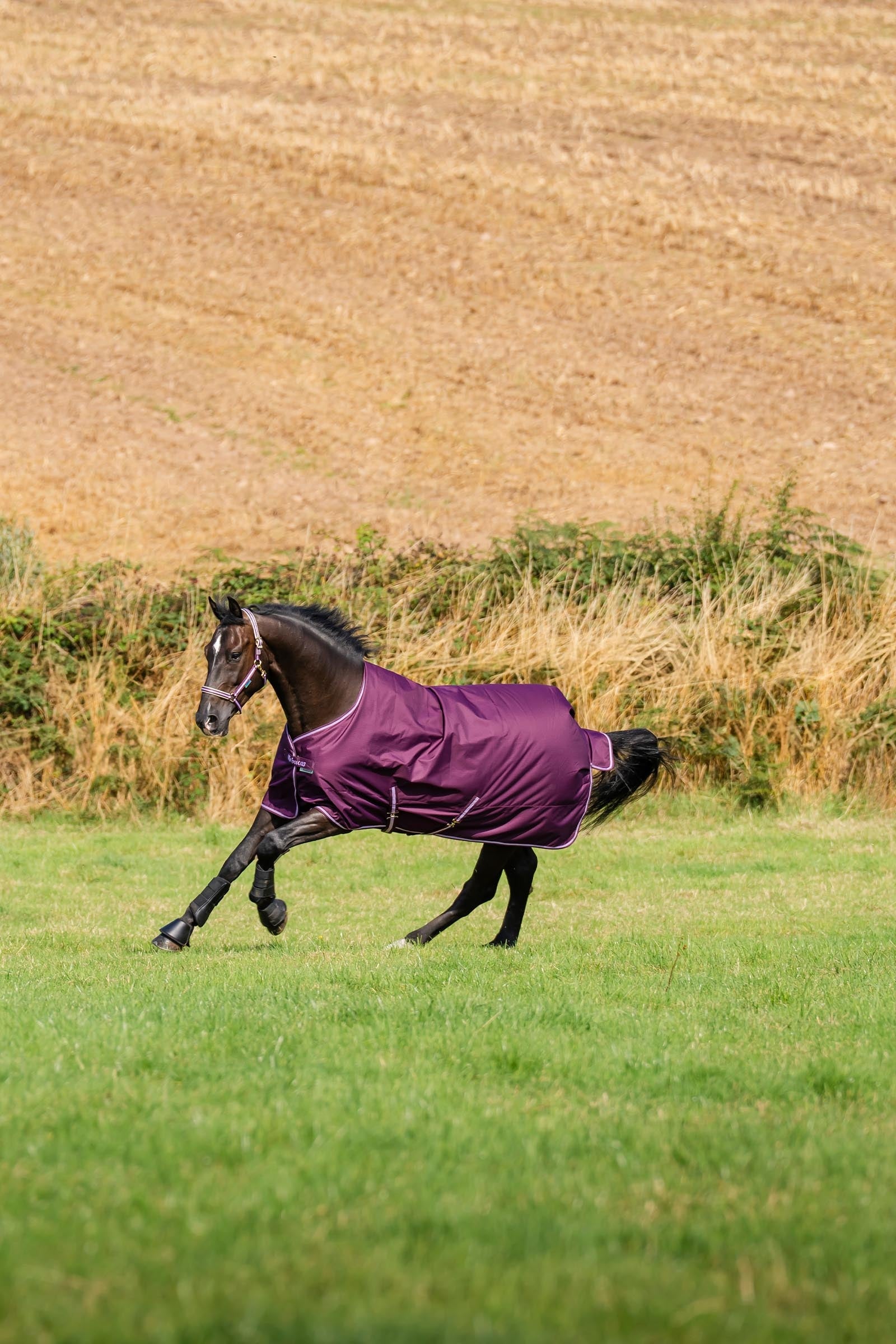 Bucas Freedom Light Turnout Rug, 0g Horse Rugs