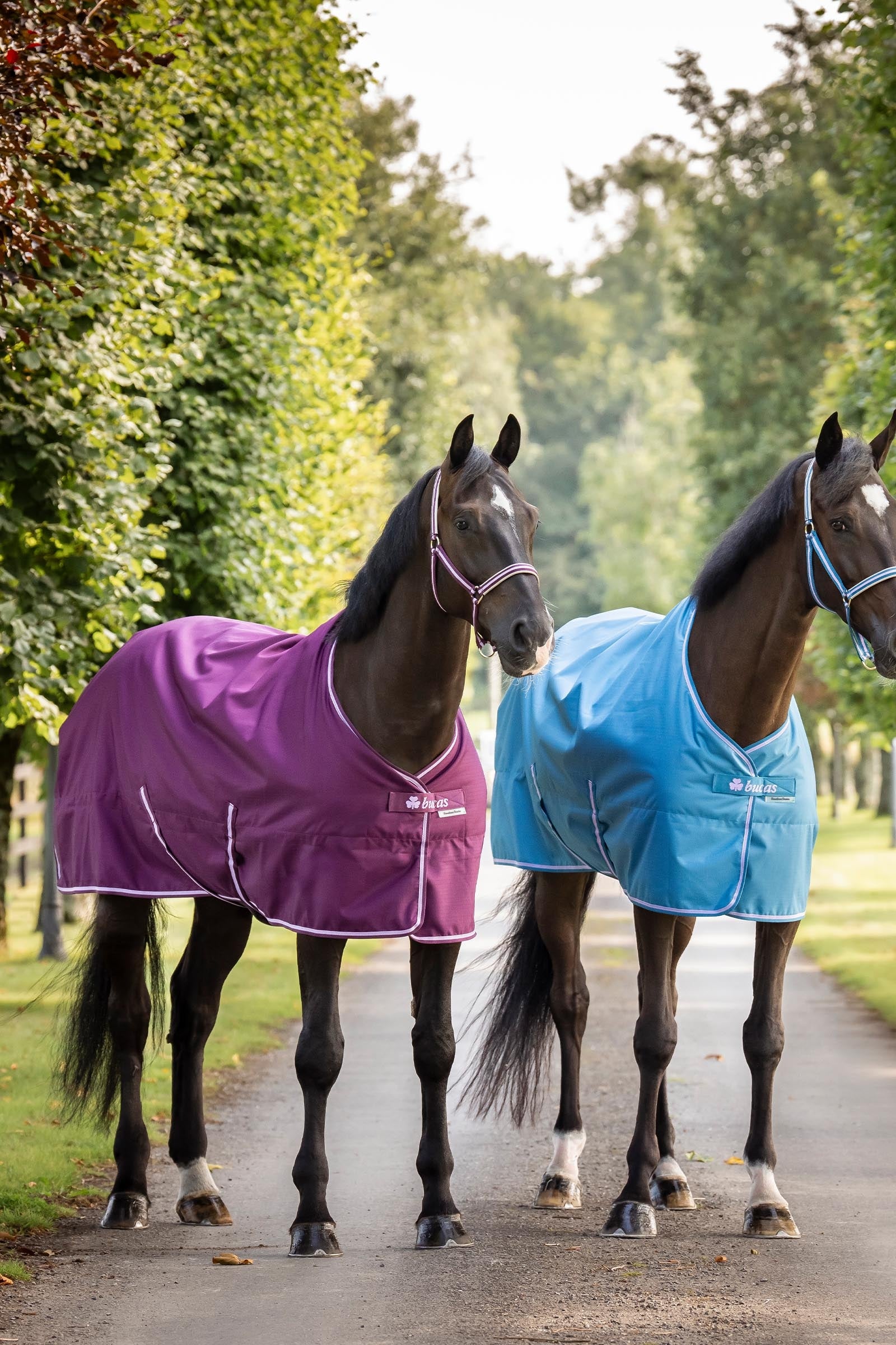 Bucas Freedom Light Turnout Rug, 0g Horse Rugs