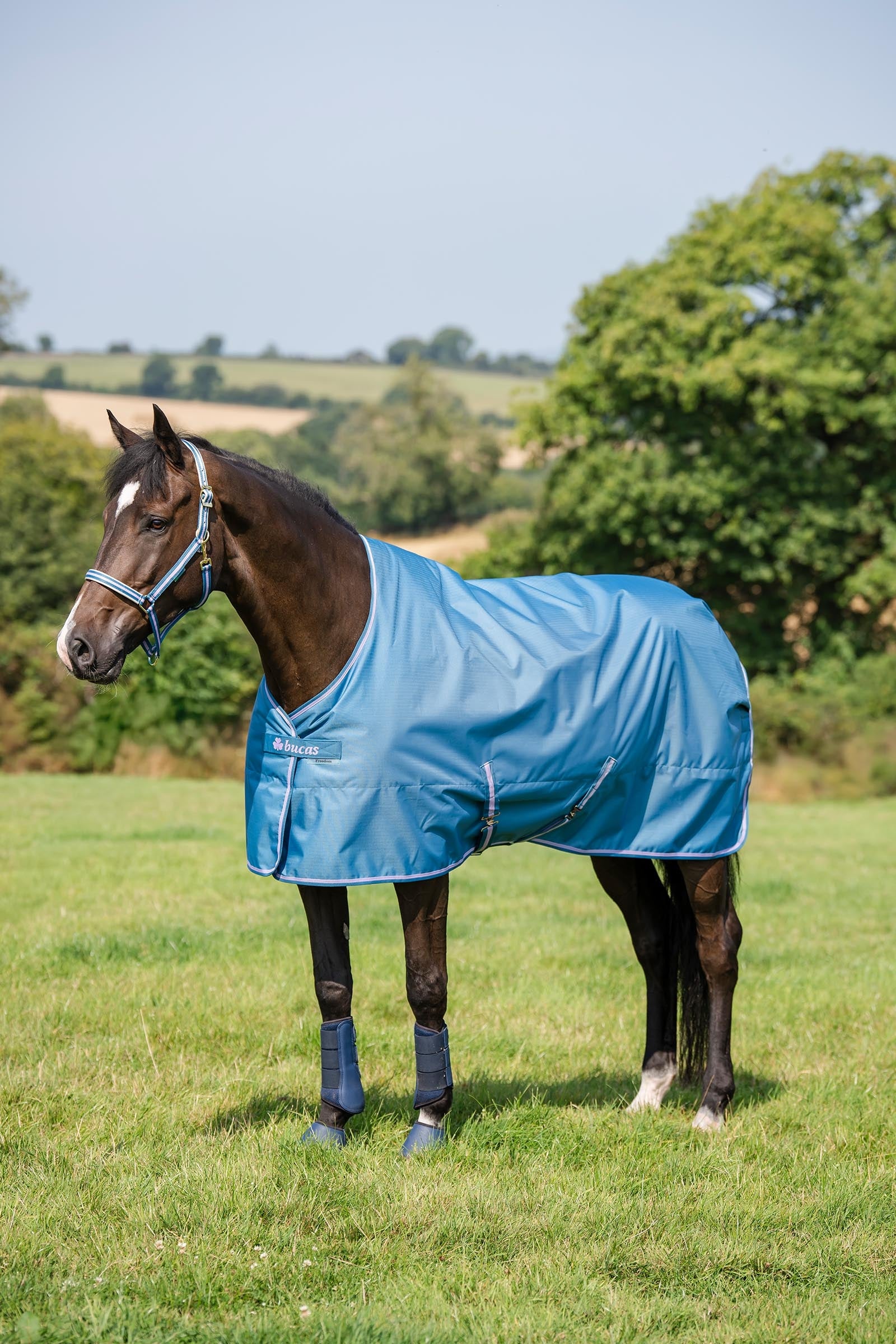 Bucas Freedom Light Turnout Rug, 0g Horse Rugs