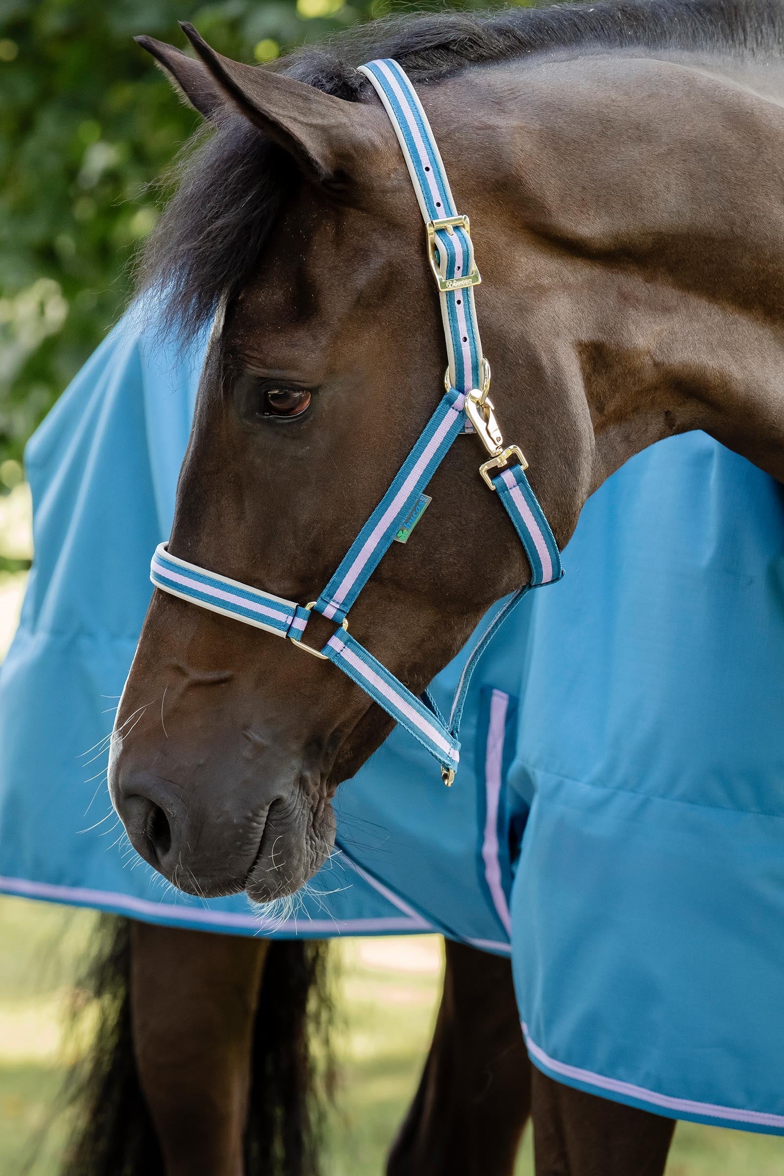 Bucas Freedom Light Turnout Rug, 0g Horse Rugs