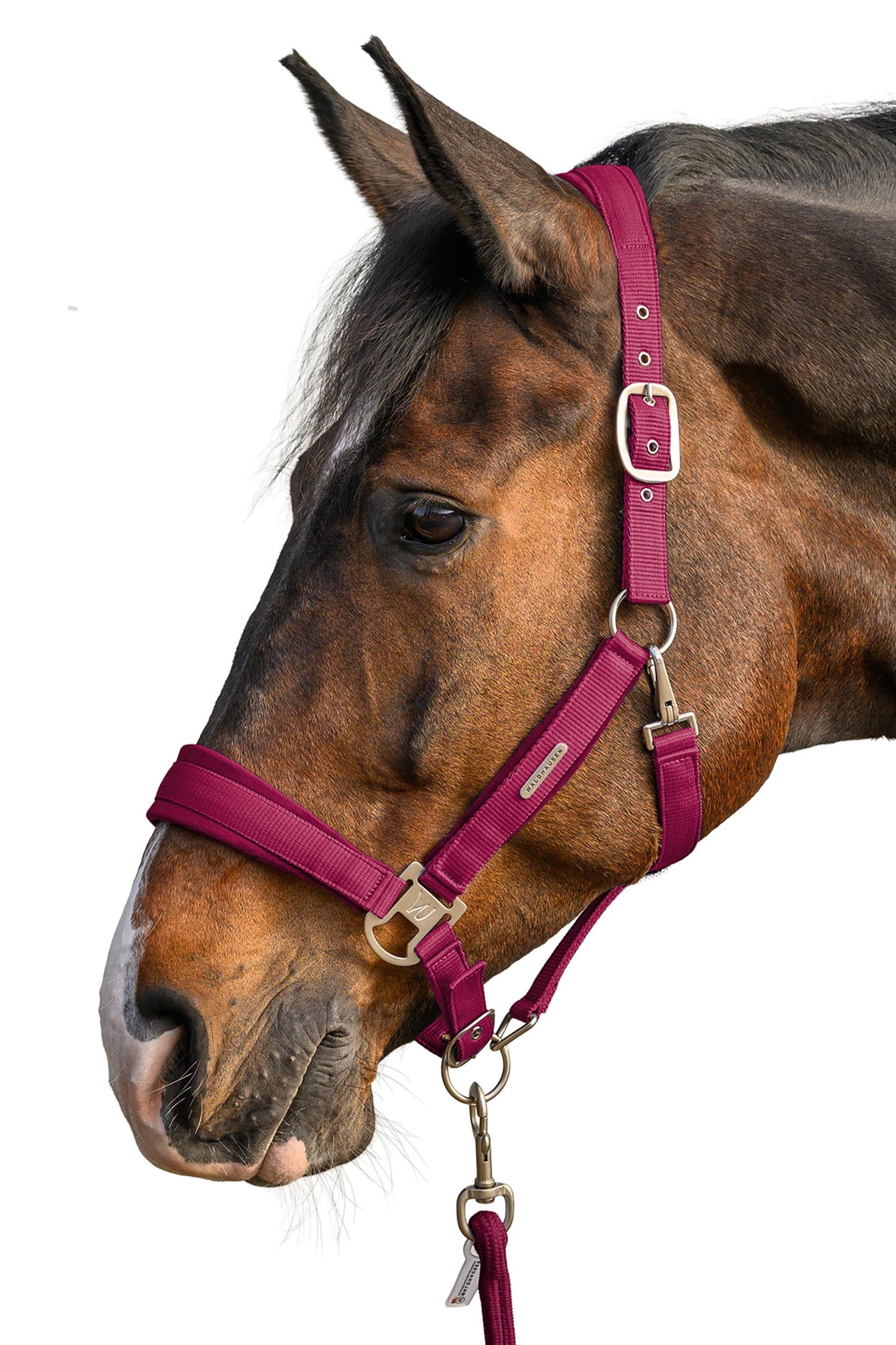 Waldhausen Velvet Halter and Lead Rope Set Halters & Leads