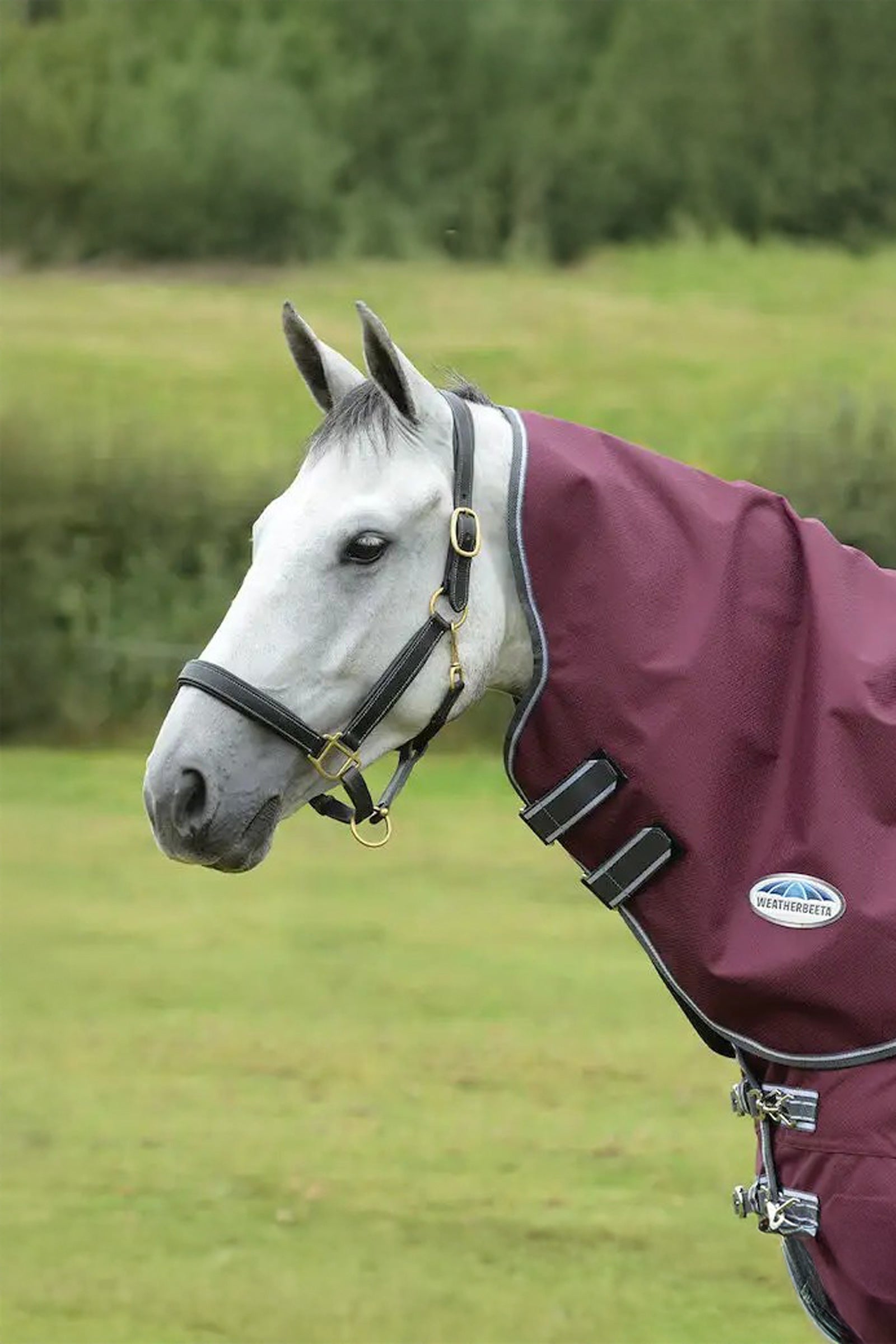 Weatherbeeta Comfitec Plus Dynamic II Medium/Lite Halsteil, 100g Pferdedecken