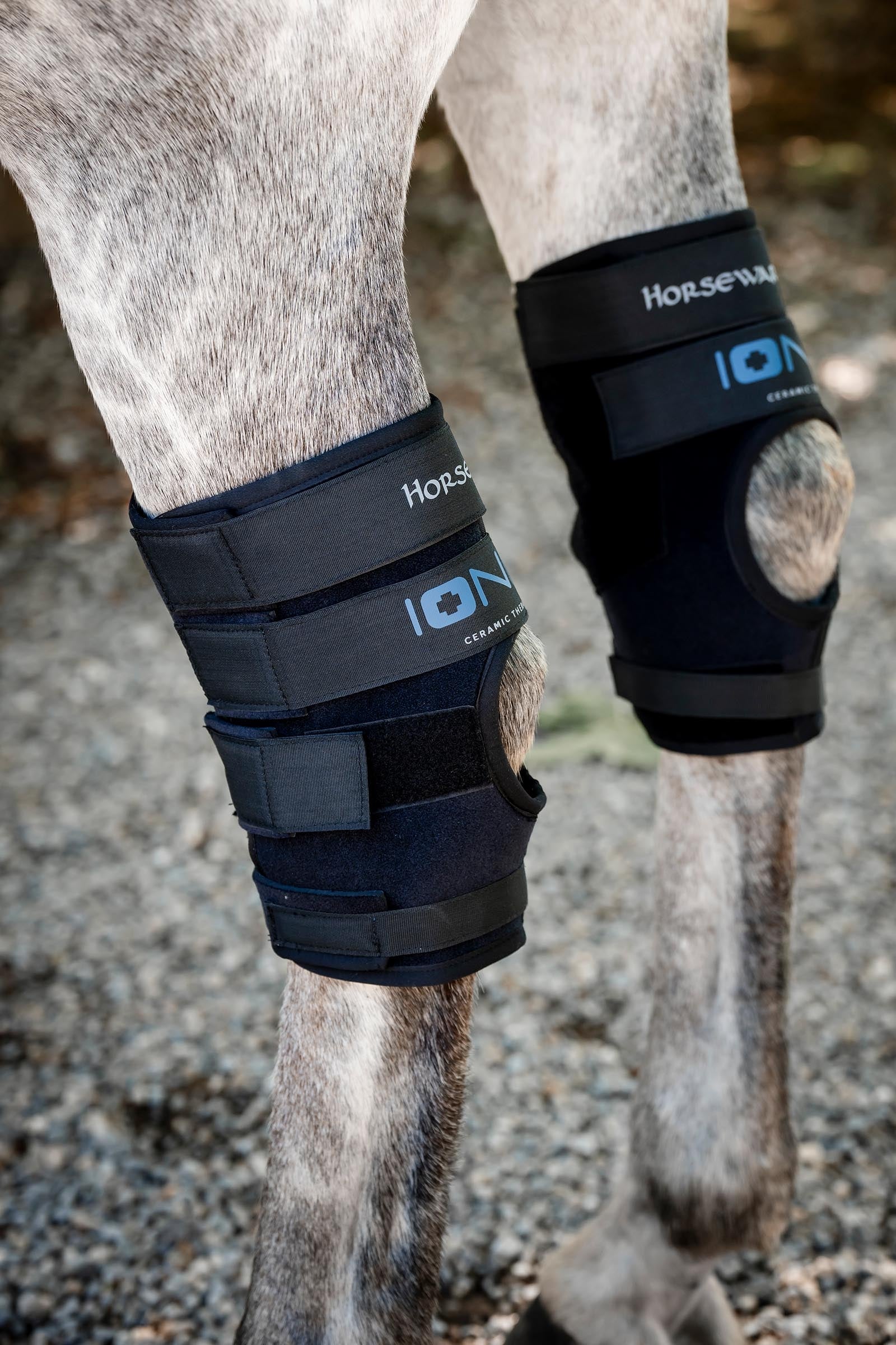 Horseware Ionic Sprunggelenk-Boots – 2er-Set Leg & Hoof Protection