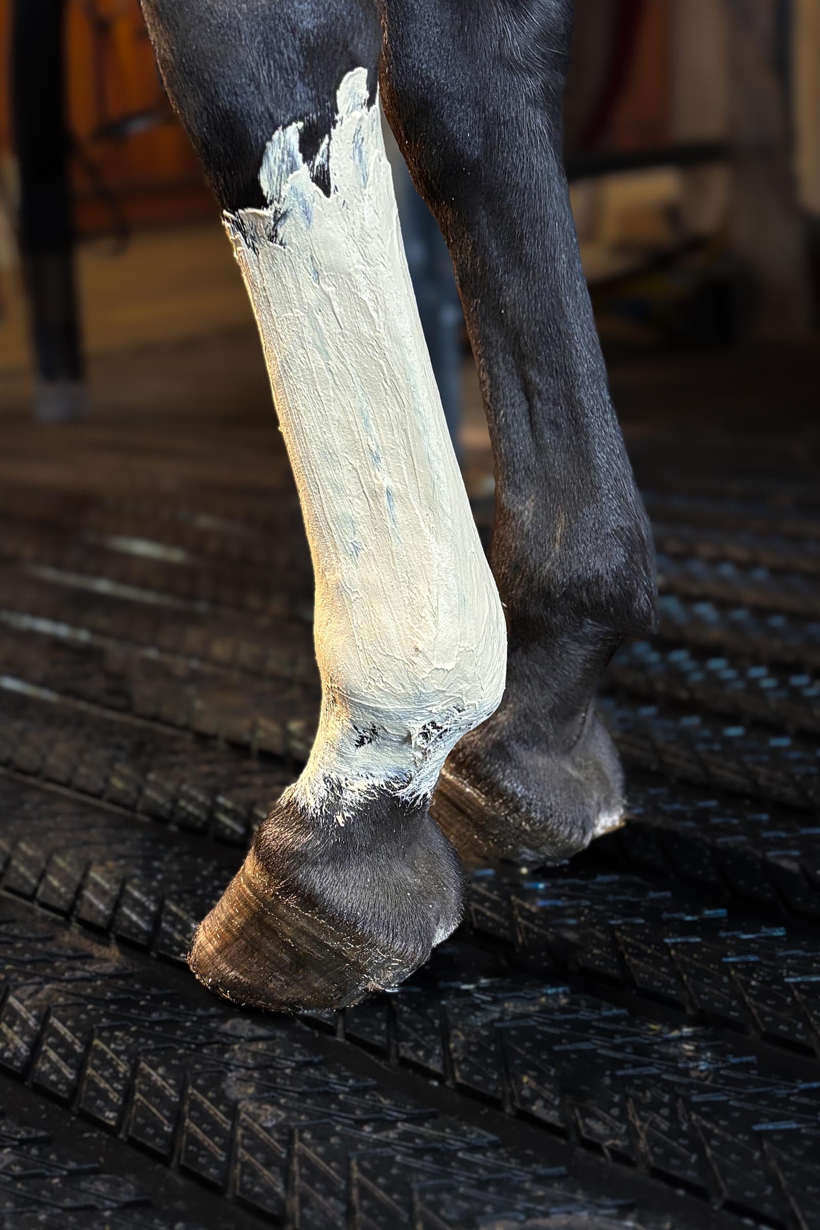 Kevin Bacon´s Kevin Bacon's Fresh Clay, 1,5 kg Horse Health Care