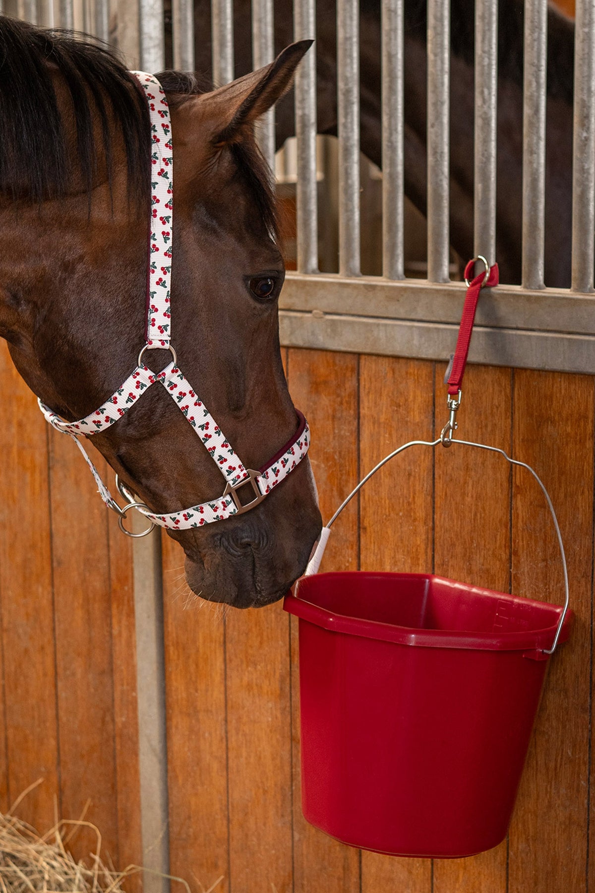 Waldhausen Multi-Purpose Bucket, 20 L Horse Feeders & Waterers