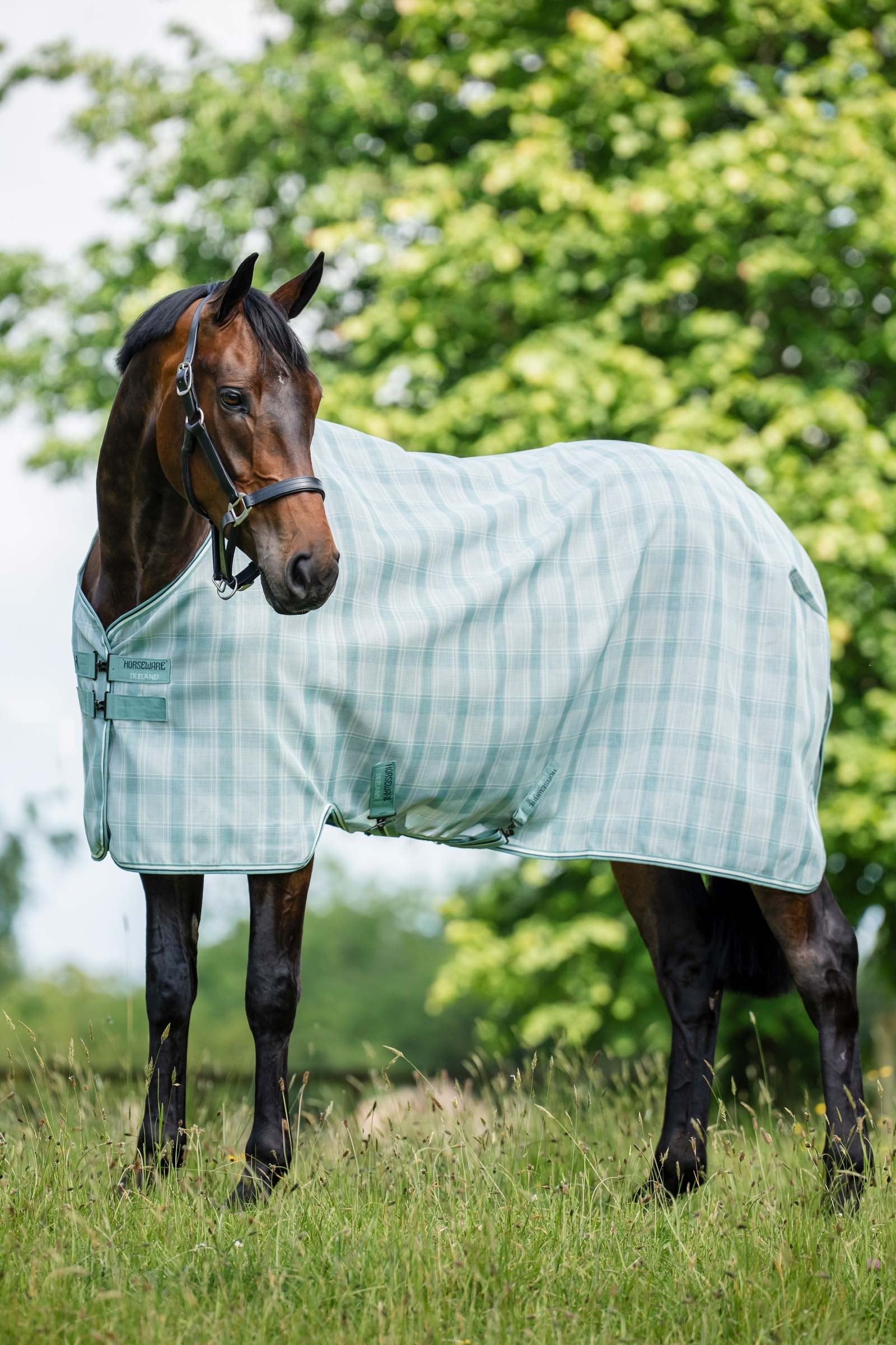 Horseware Newmarket Fliegendecke mit UV-Schutz Pferdedecken
