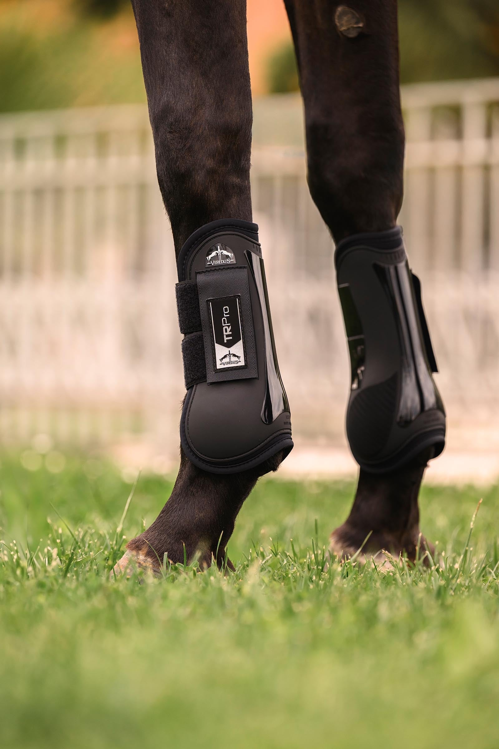 Veredus TR PRO Front Tendon Boots Leg & Hoof Protection