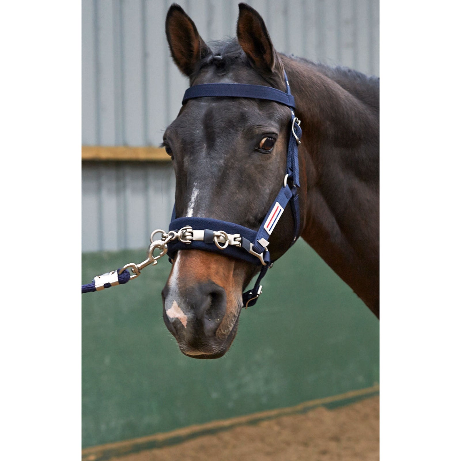 John Whitaker JW Longier Cavesson Halfter & Stricke
