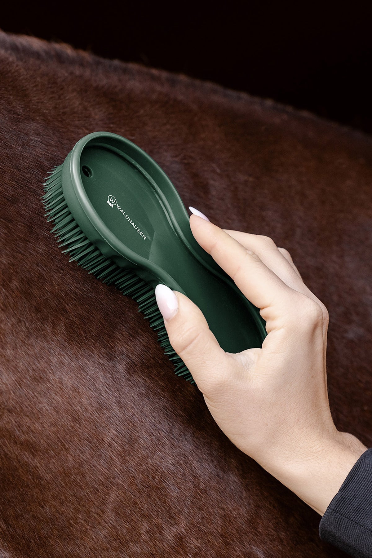 Waldhausen All-in-One Brush Horse Grooming Tools