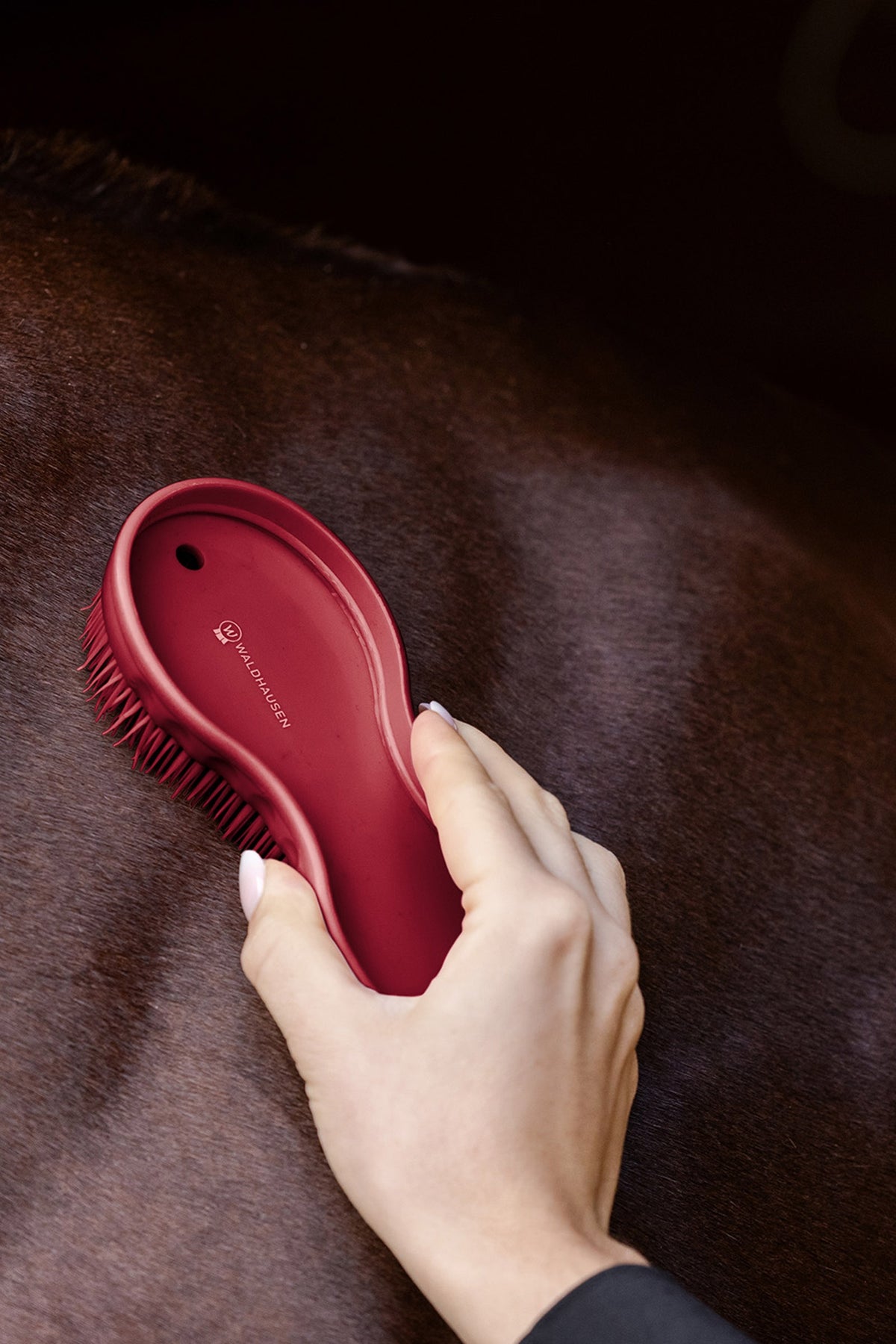 Waldhausen All-in-One Brush Horse Grooming Tools
