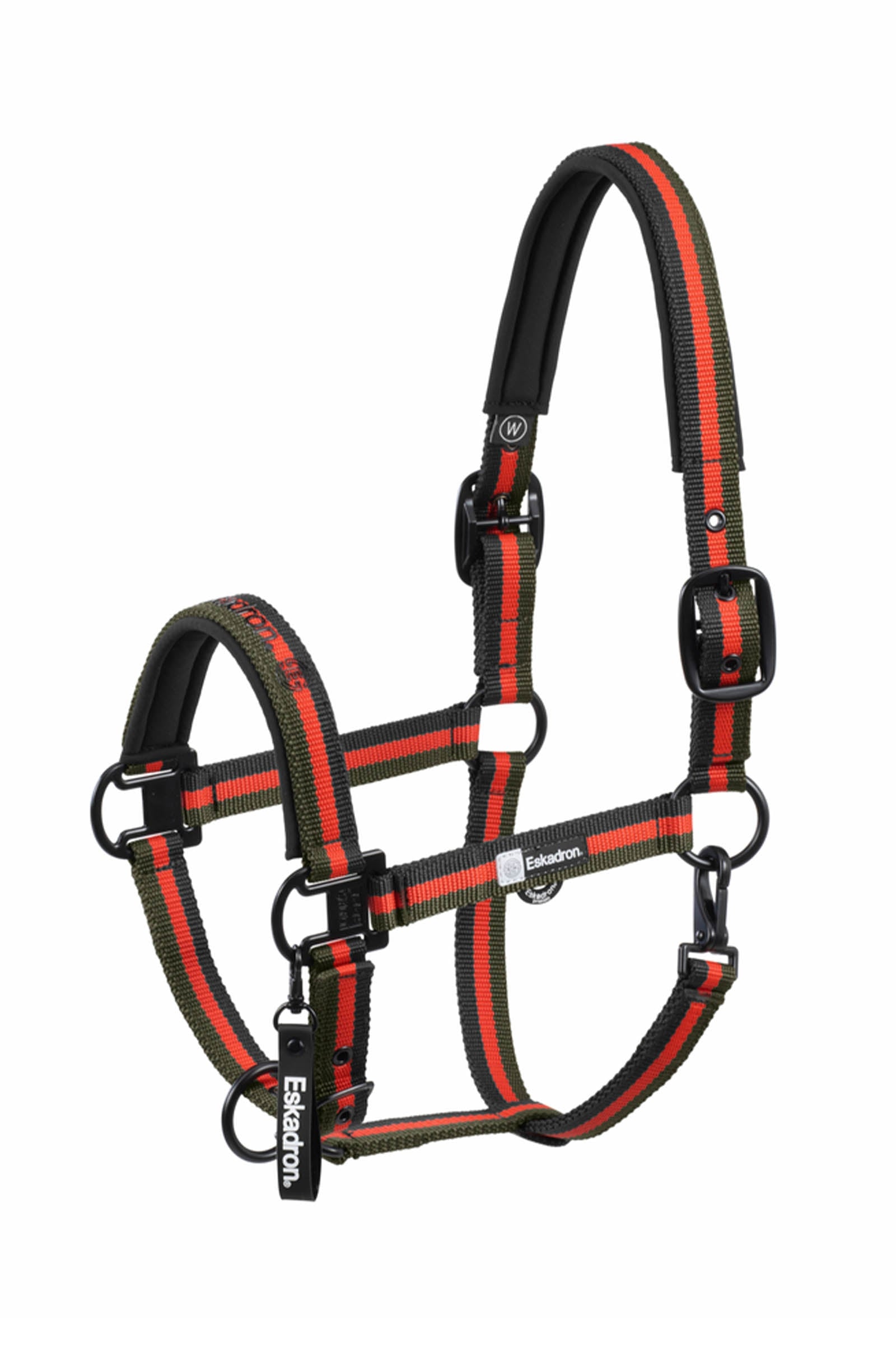 Eskadron Dynamics AW25 Halfter mit Dornschnalle doppelt Halfter & Stricke