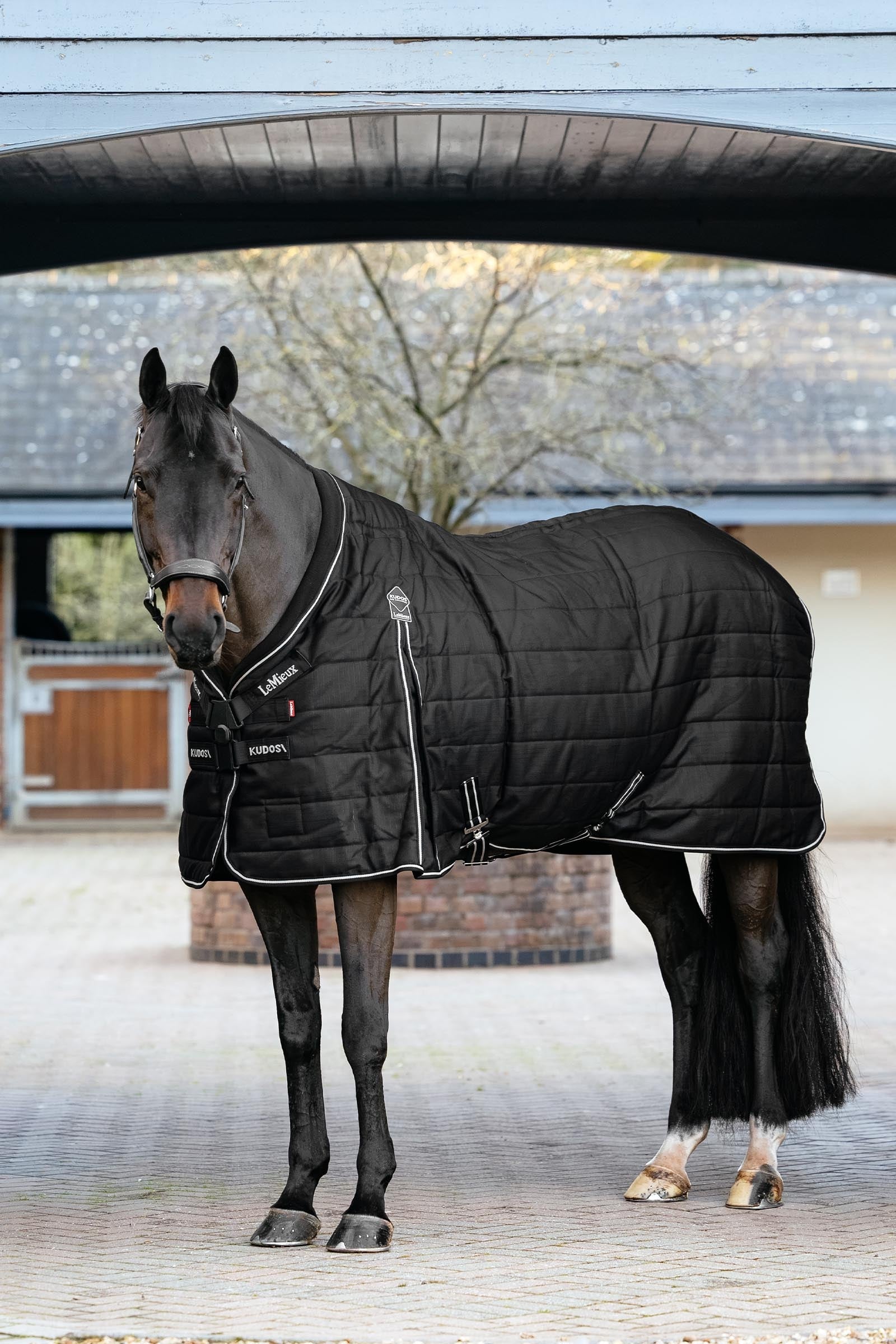 LeMieux Kudos ClimaCore Stable Rug With Neck, 200 g Horse Rugs