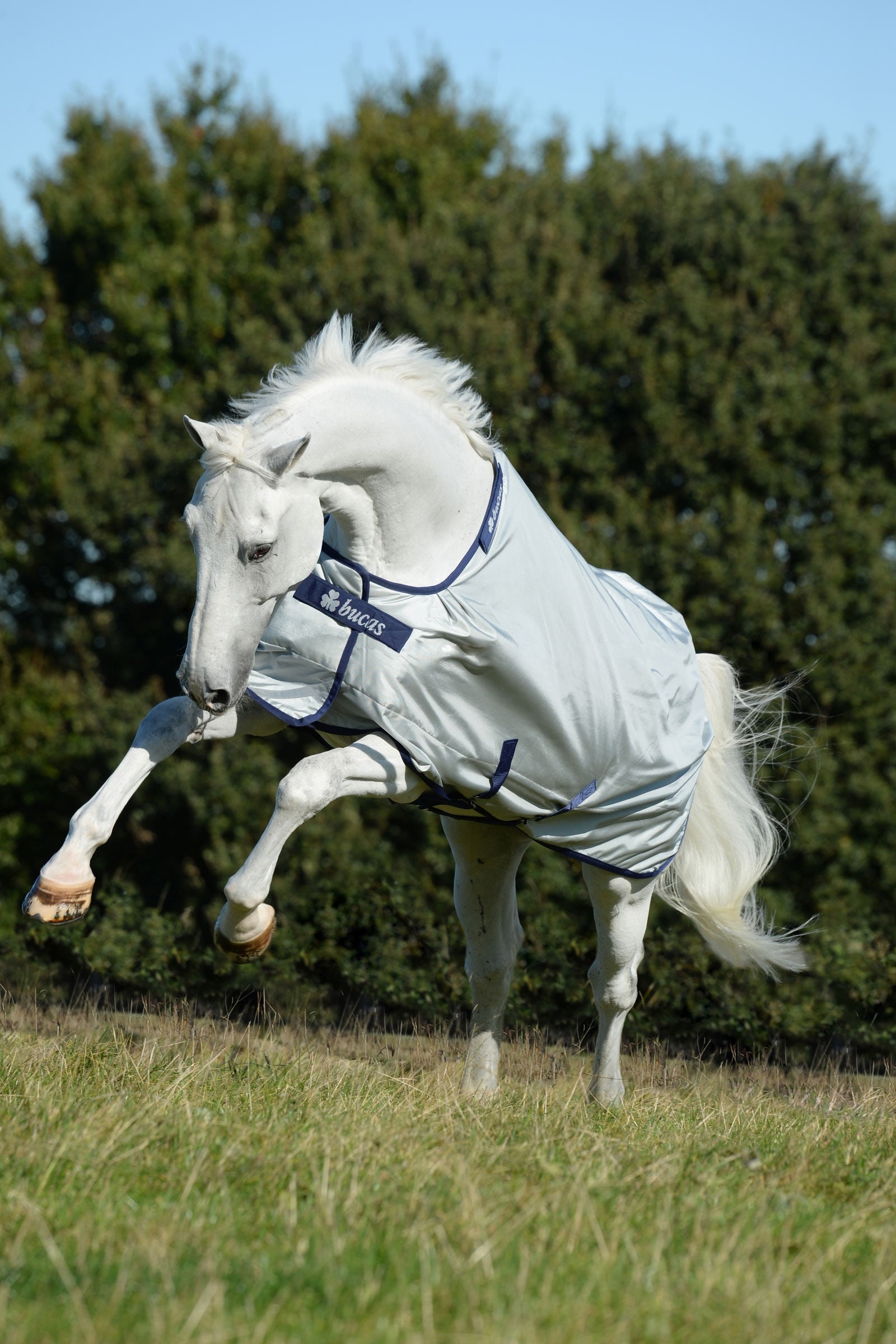 Bucas Power Weidedecke mit weitem Halsausschnitt, 0g Pferdedecken