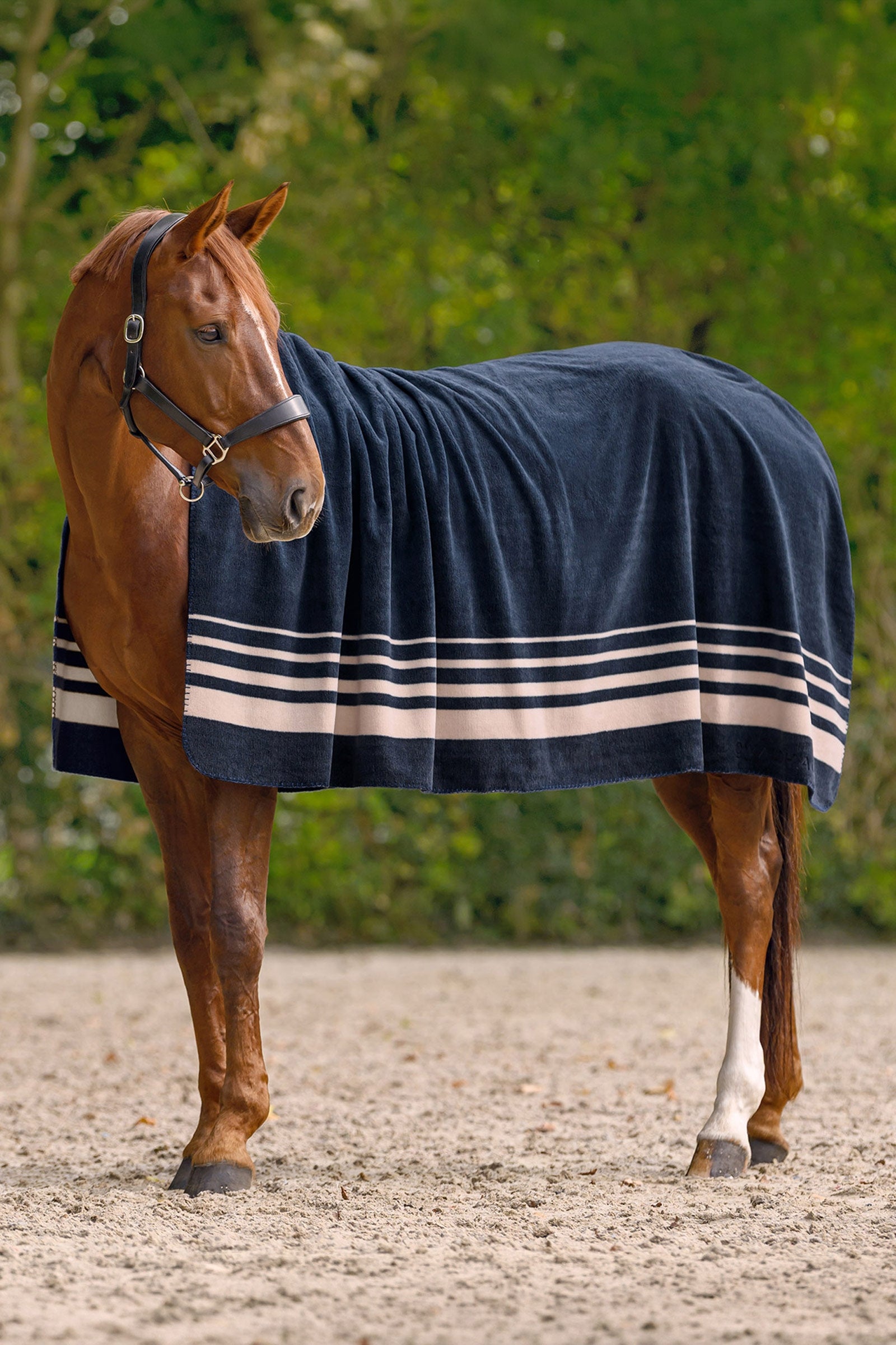 Waldhausen Sölden Fleece Rug Horse Rugs