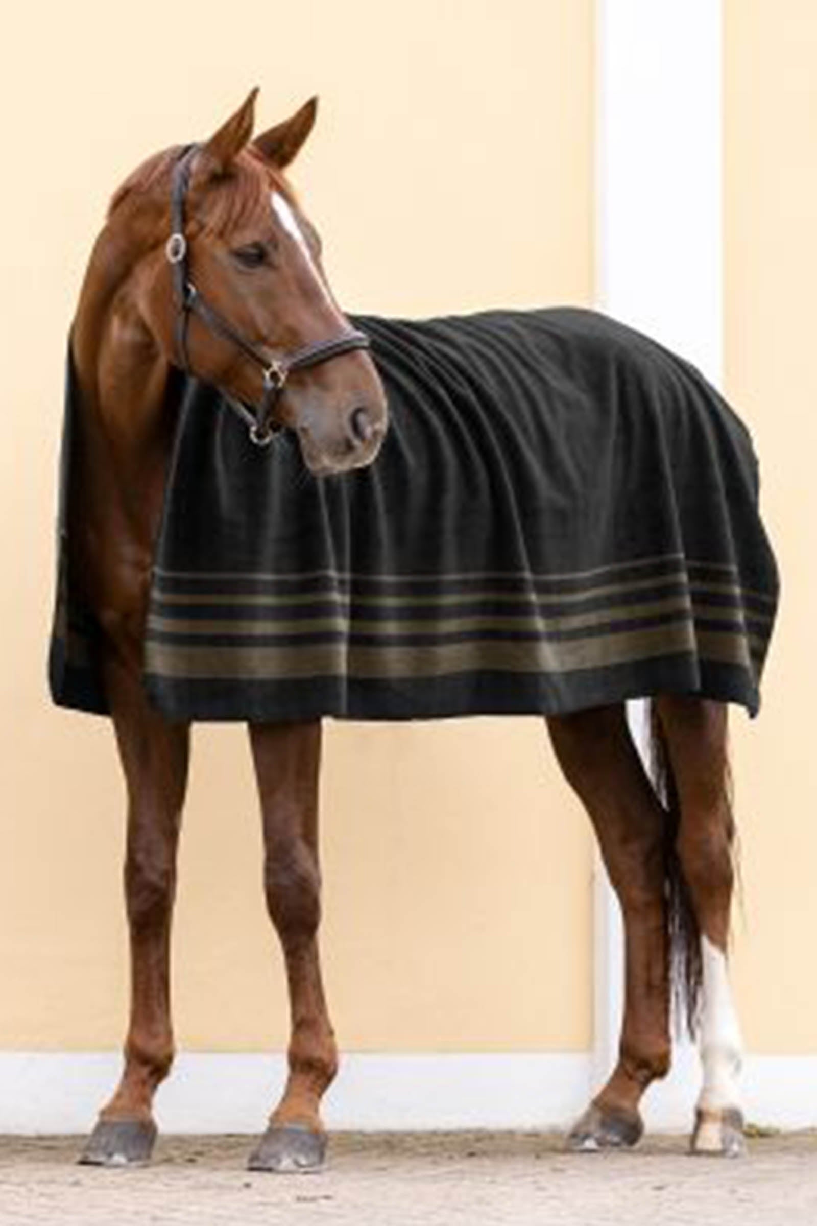 Waldhausen Sölden Fleece Rug  Horse Rugs