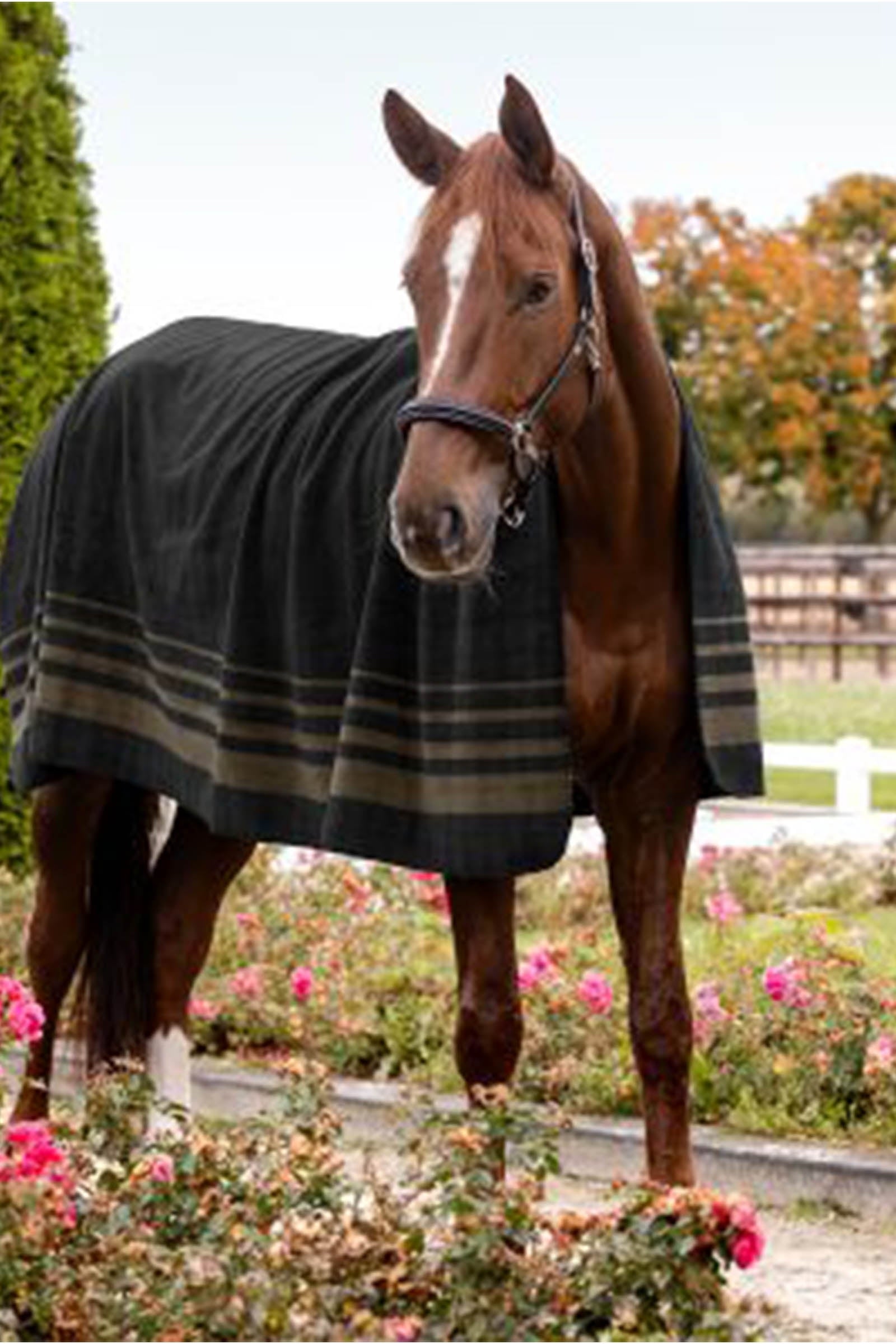 Waldhausen Sölden Fleece Rug  Horse Rugs
