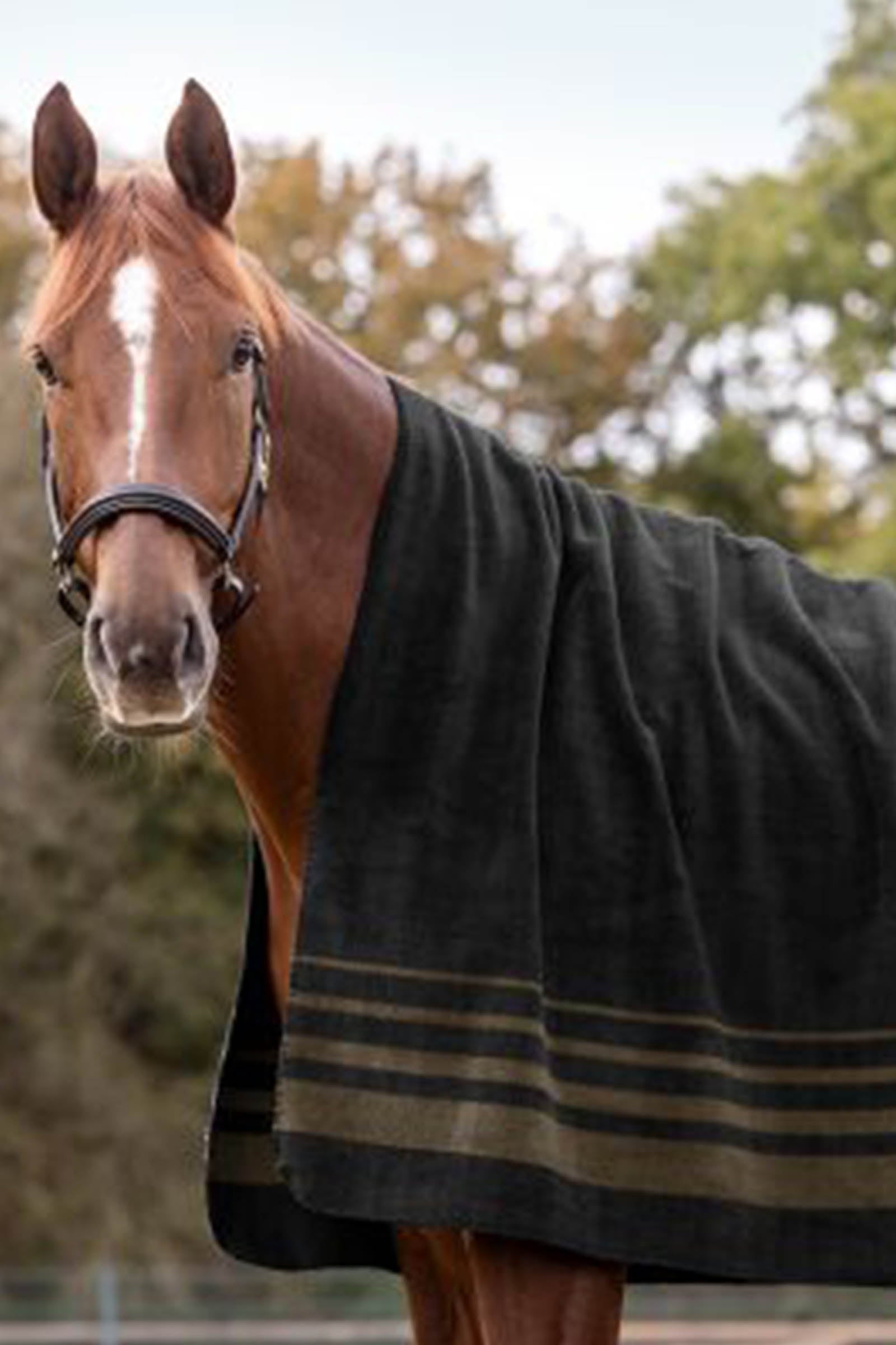 Waldhausen Sölden Fleece Rug  Horse Rugs