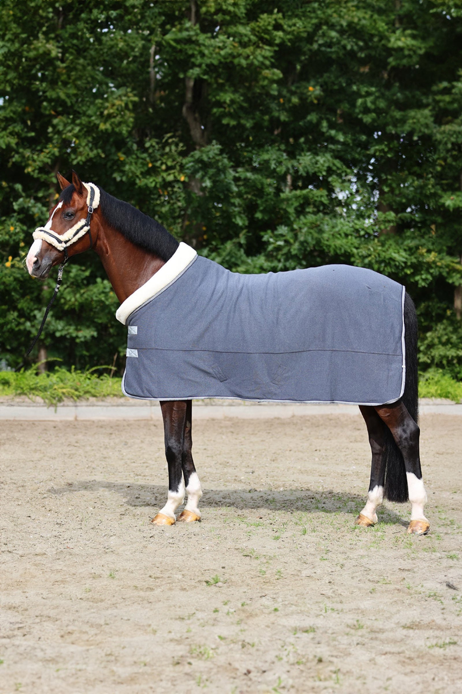 Kavalkade Elegance Transport- und Abschwitzdecke Pferdedecken