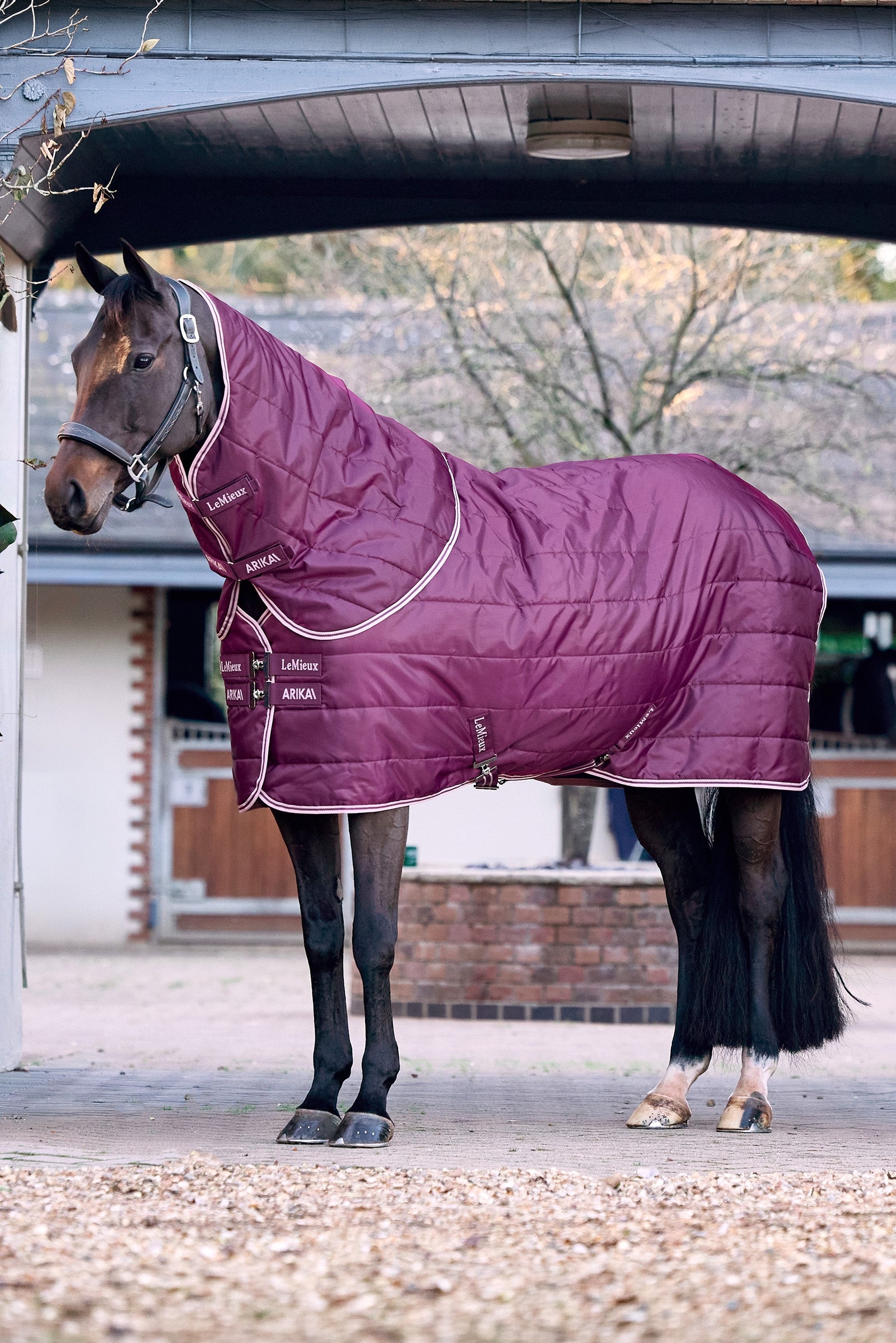 LeMieux Arika Stable-Tek With Neck, 100 g Horse Rugs